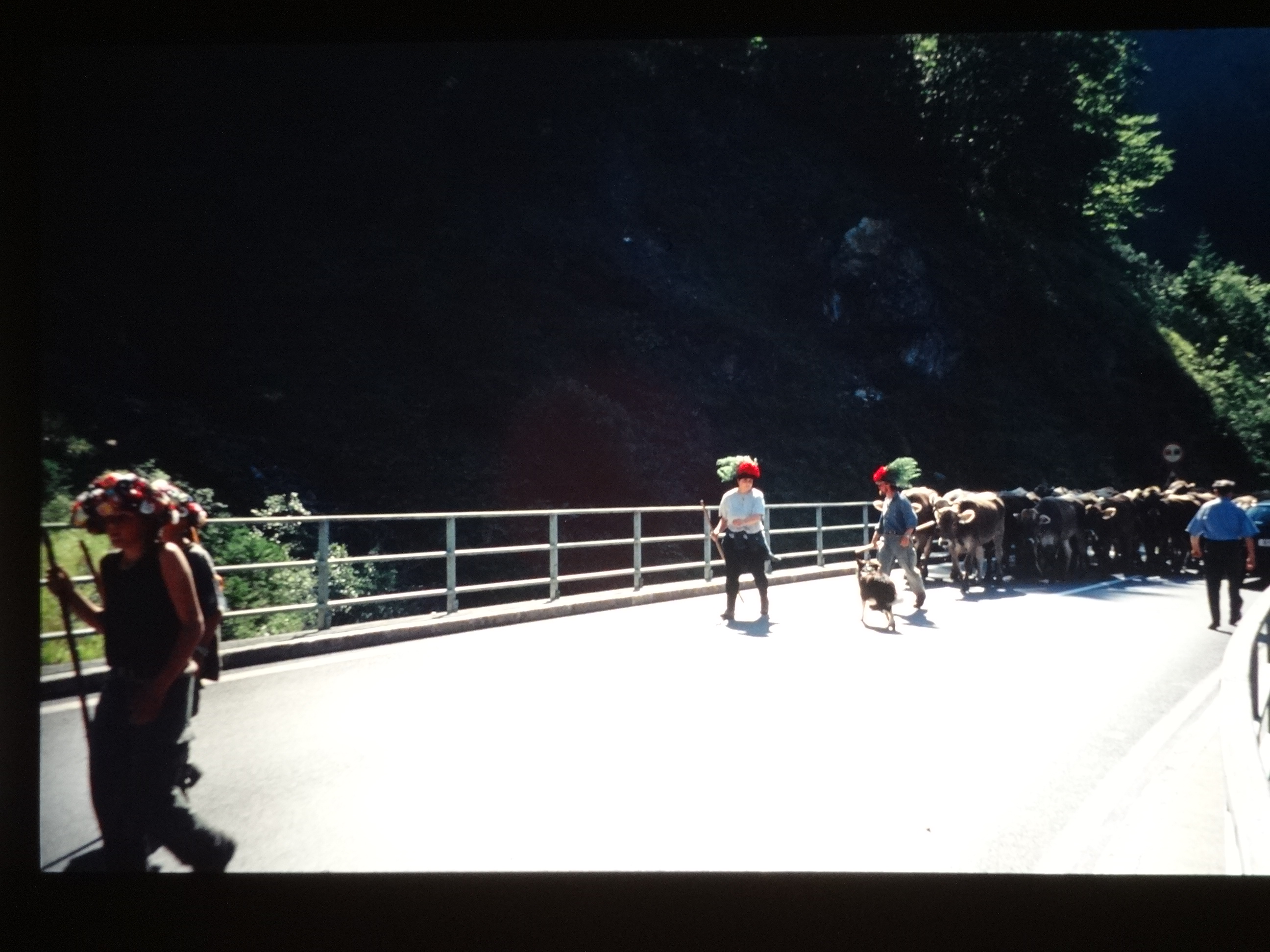 1998_pfronten240___von_Ordner___1998dias_pfronten