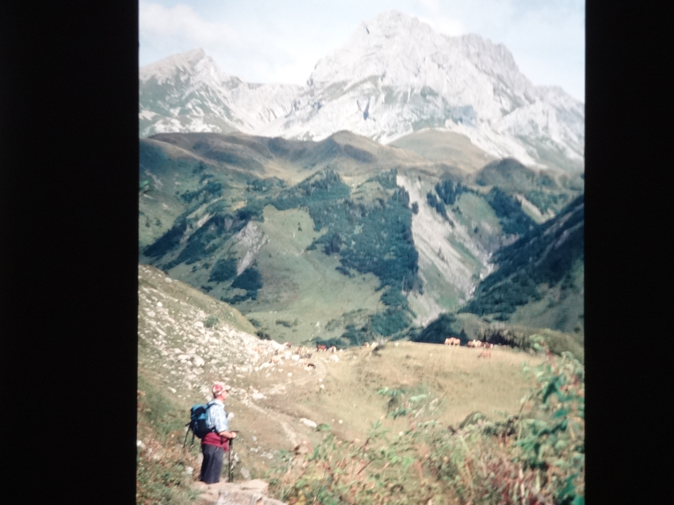 1998_pfronten280___von_Ordner___1998dias_pfronten