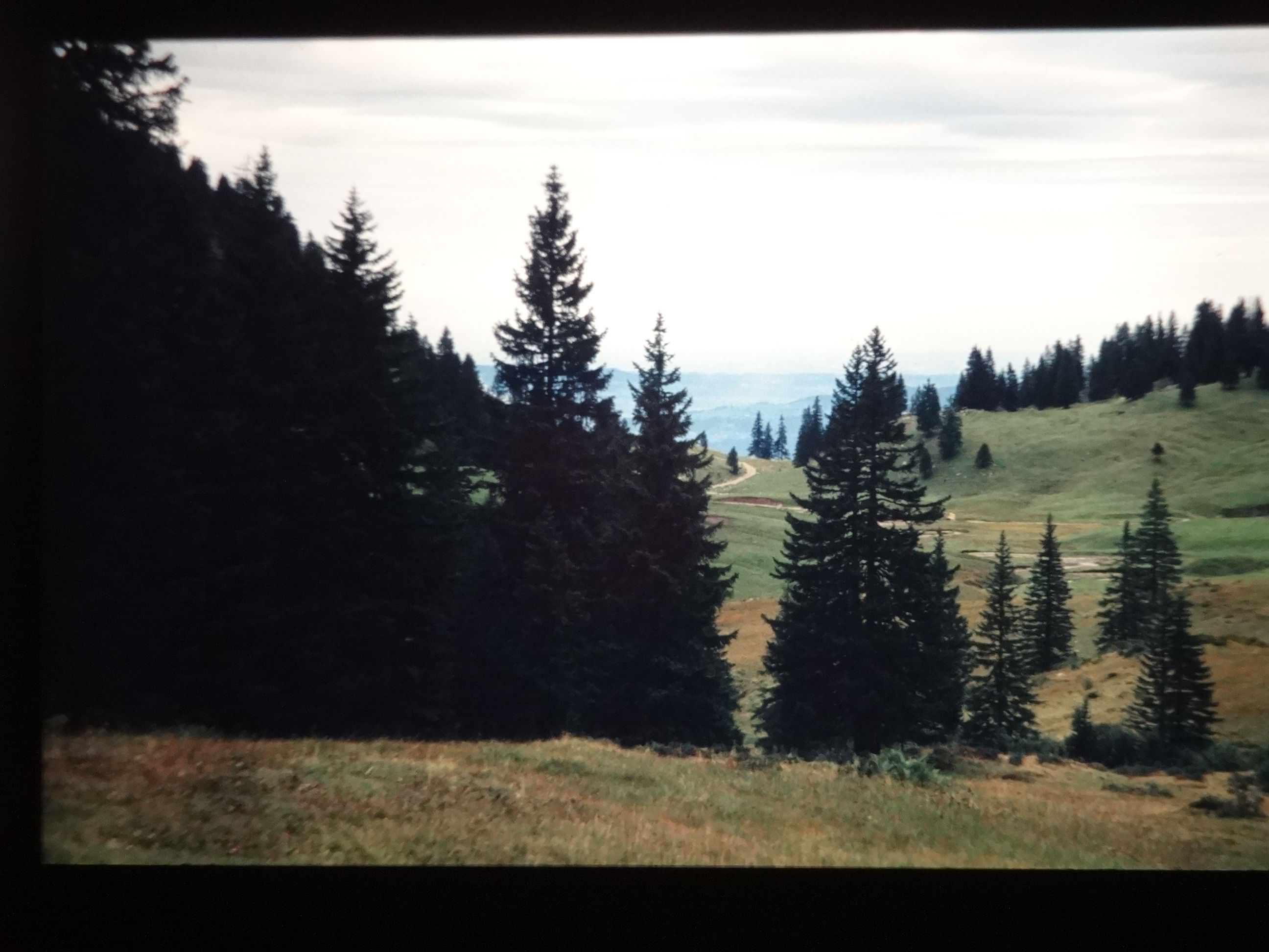 1998_pfronten340___von_Ordner___1998dias_pfronten