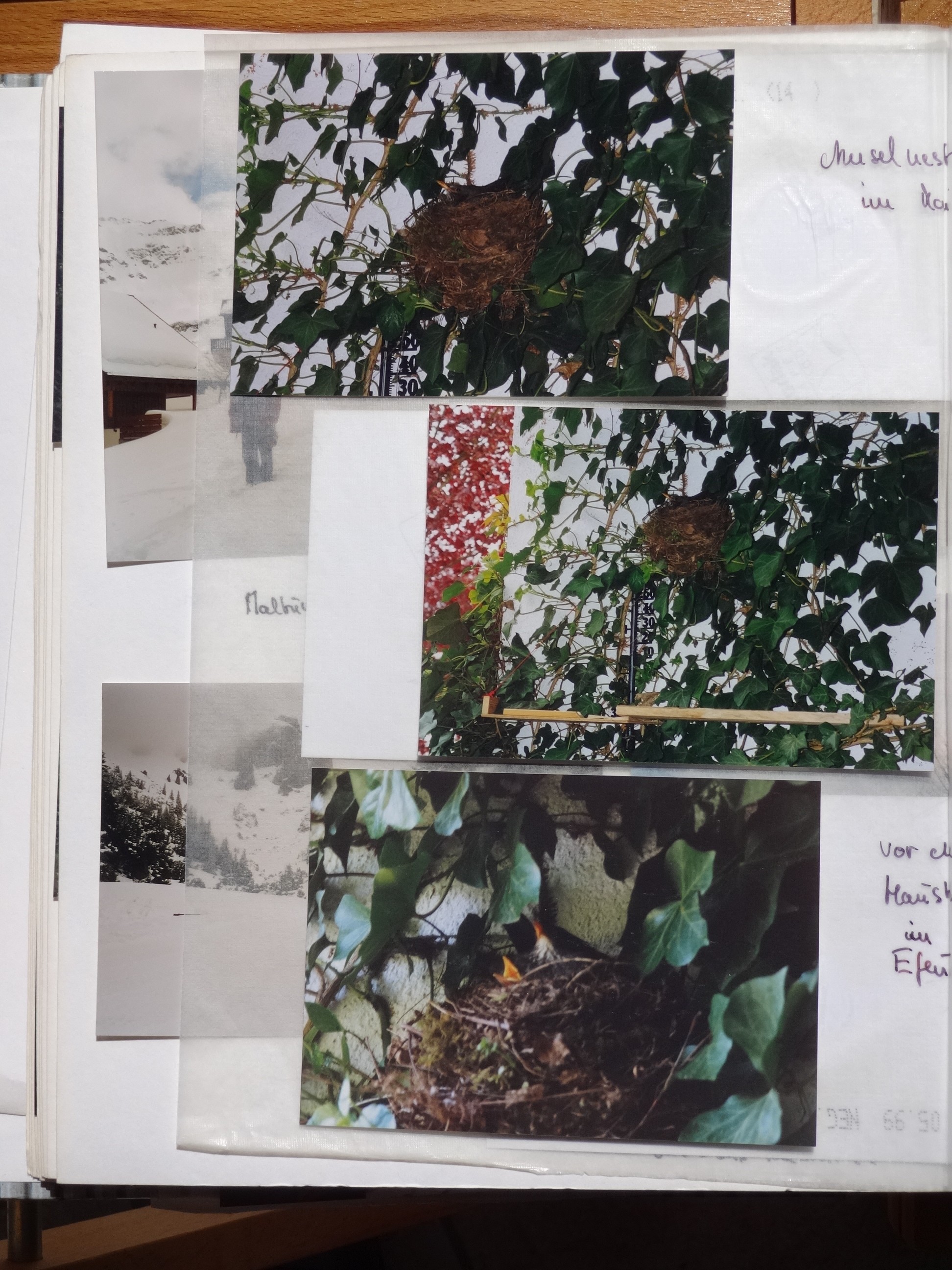 1999_100___von_Ordner___1997_2004