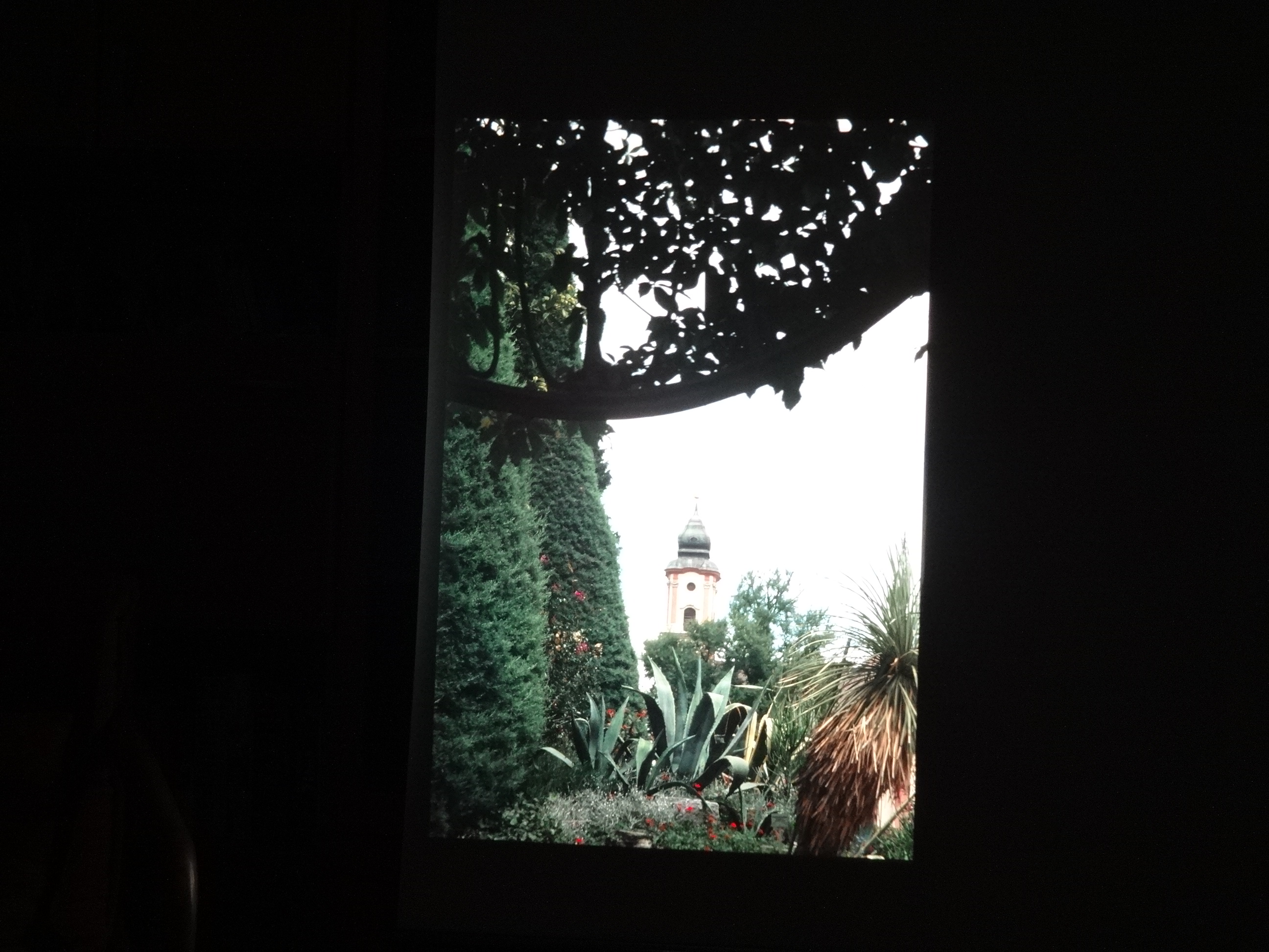 1999heiterwang040___von_Ordner___1999dias_heiterwang