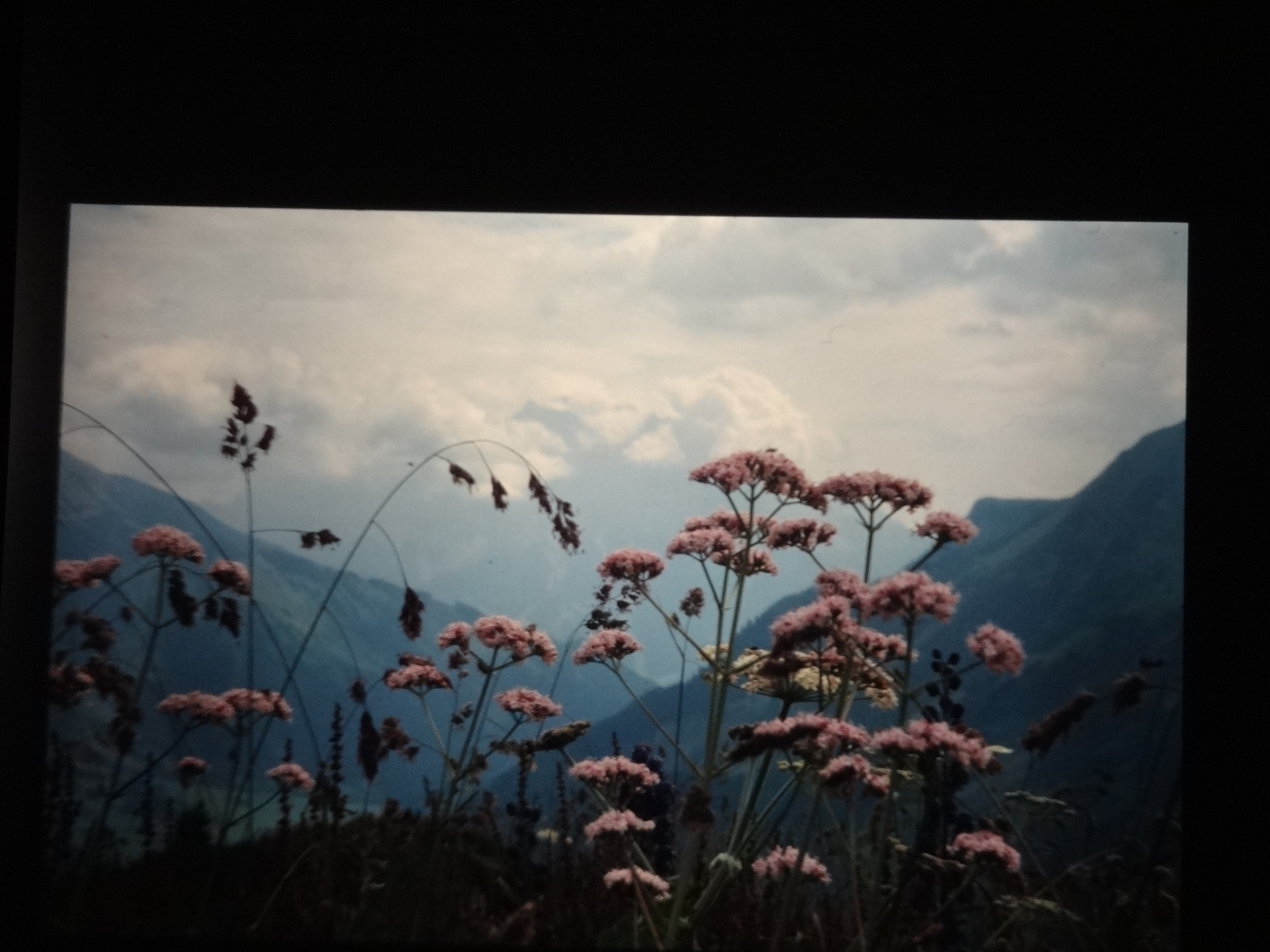 1999heiterwang110___von_Ordner___1999dias_heiterwang