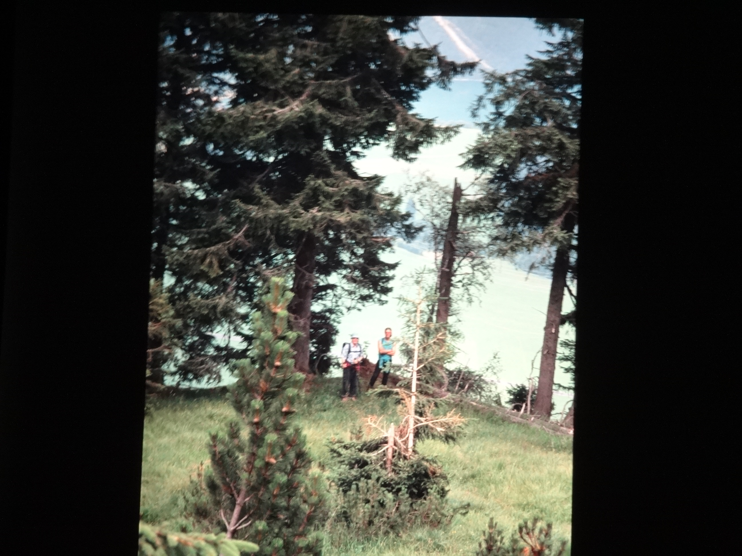 1999heiterwang120___von_Ordner___1999dias_heiterwang