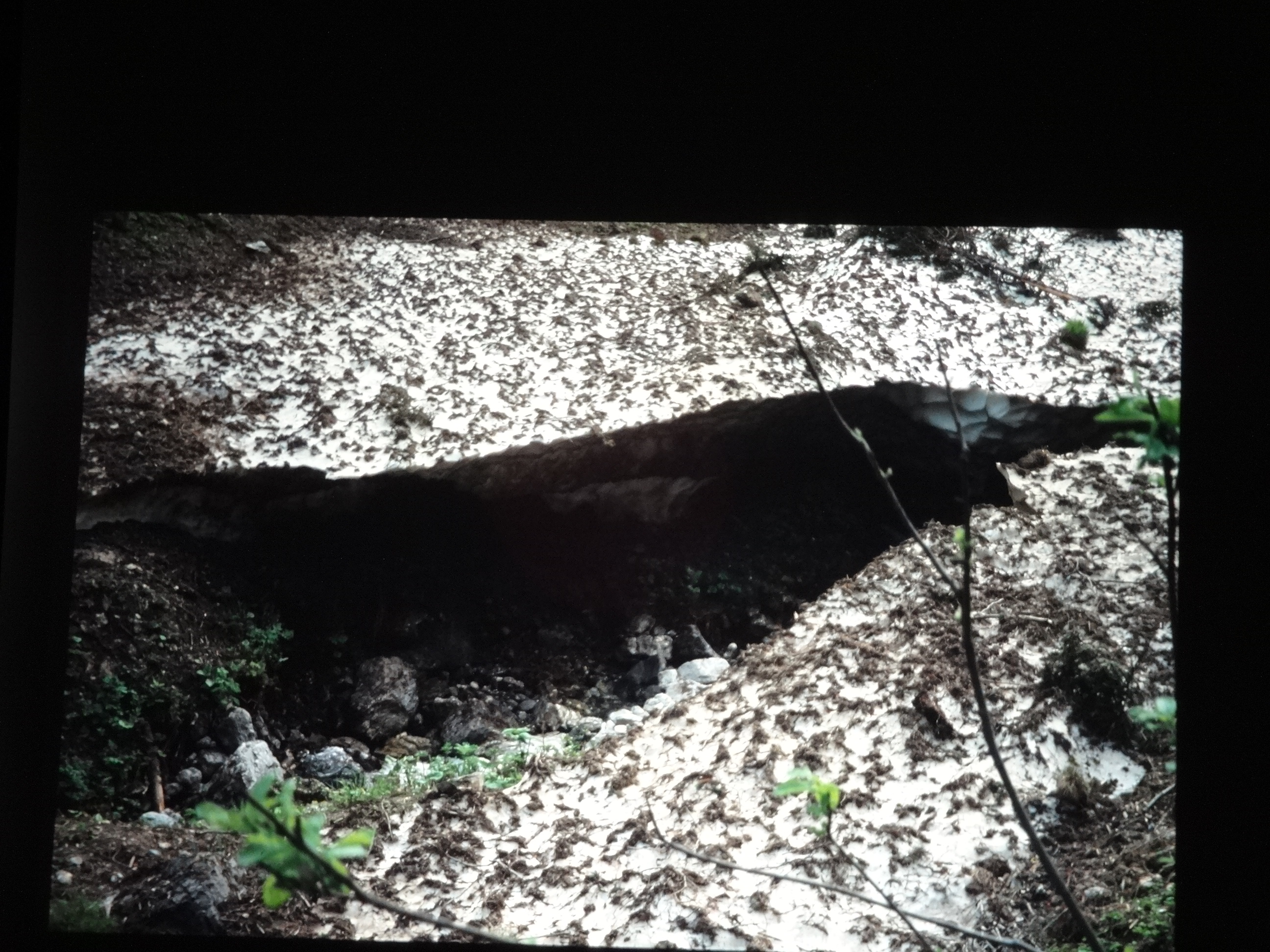 1999heiterwang290___von_Ordner___1999dias_heiterwang