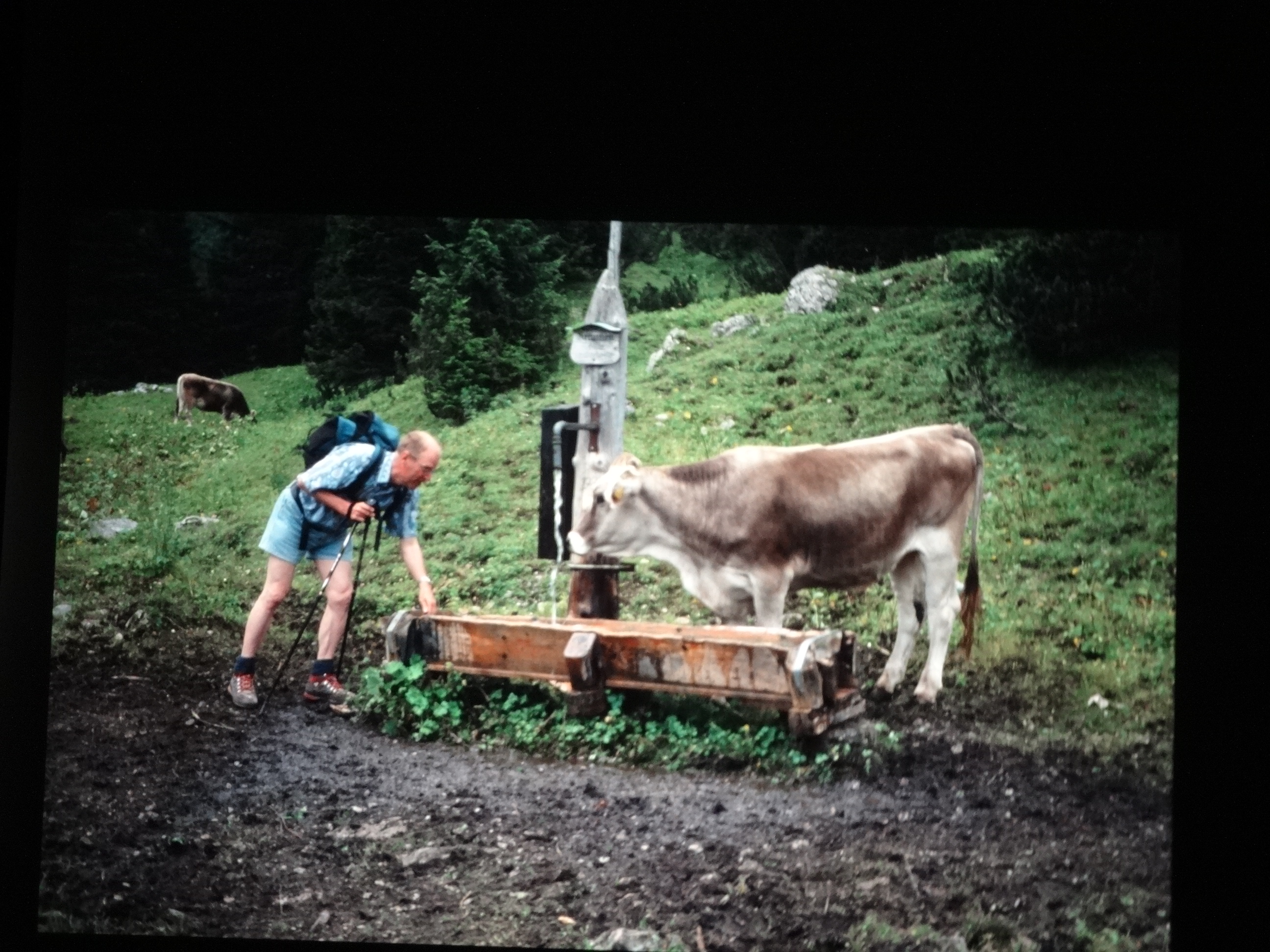 1999heiterwang310___von_Ordner___1999dias_heiterwang