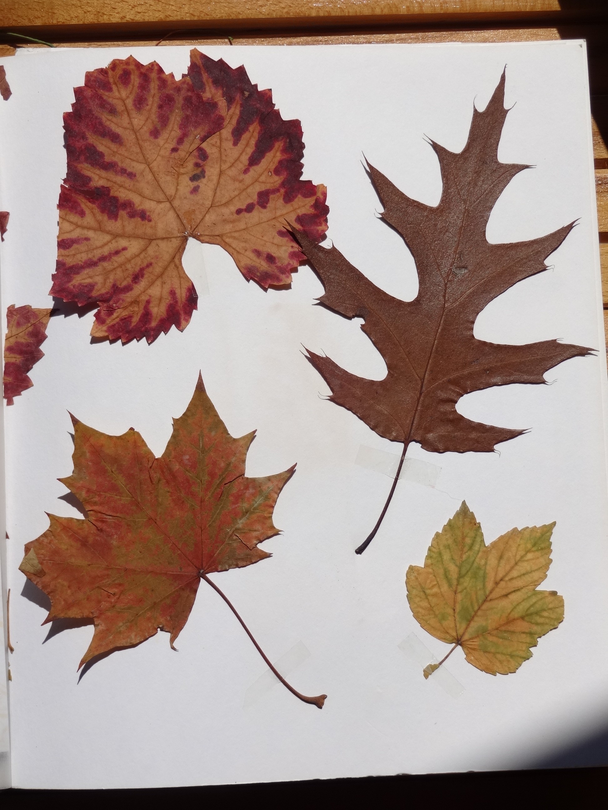 2000_290___von_Ordner___1997_2004