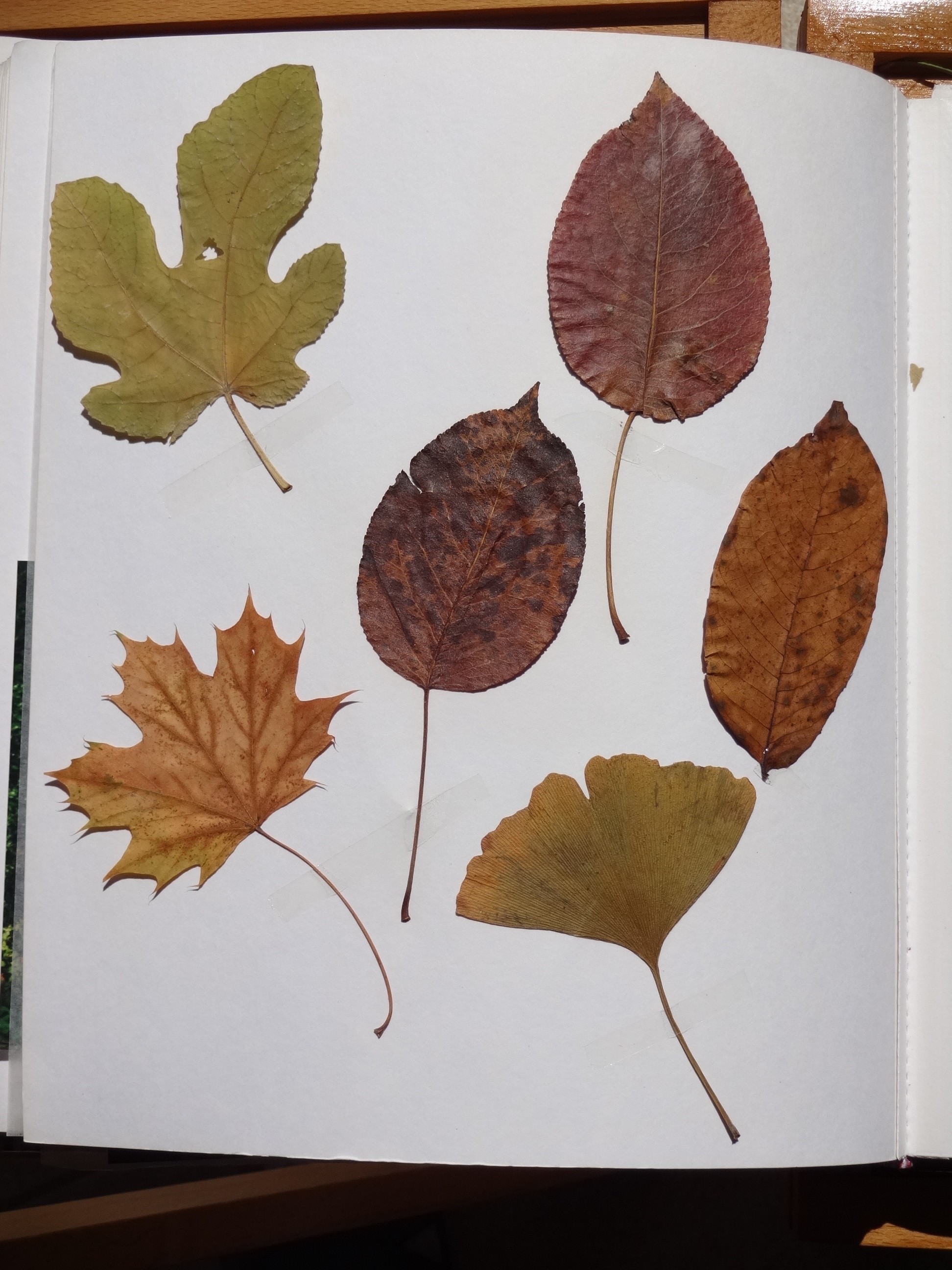 2000_300___von_Ordner___1997_2004