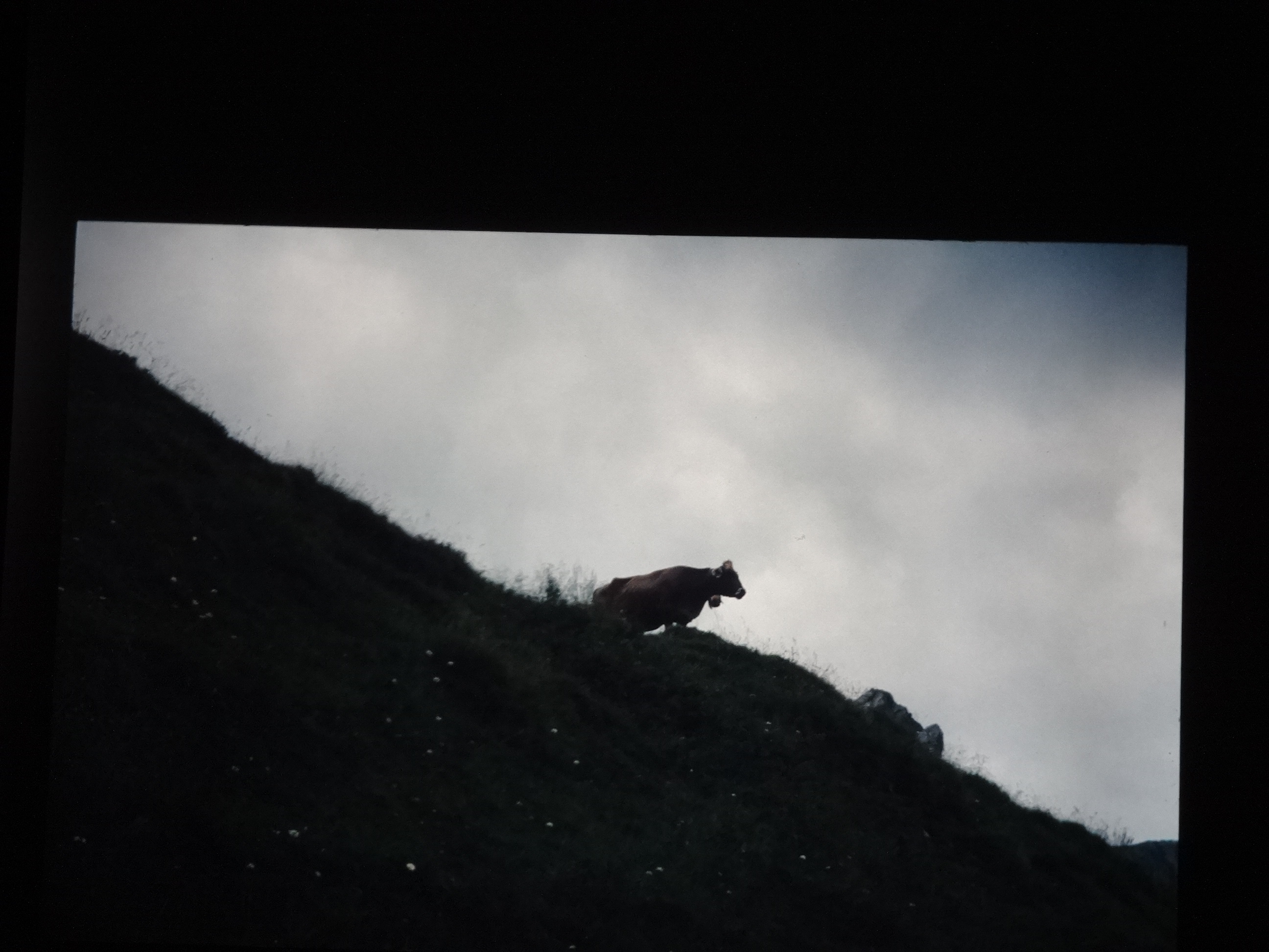 2000_dias_schoppernau020