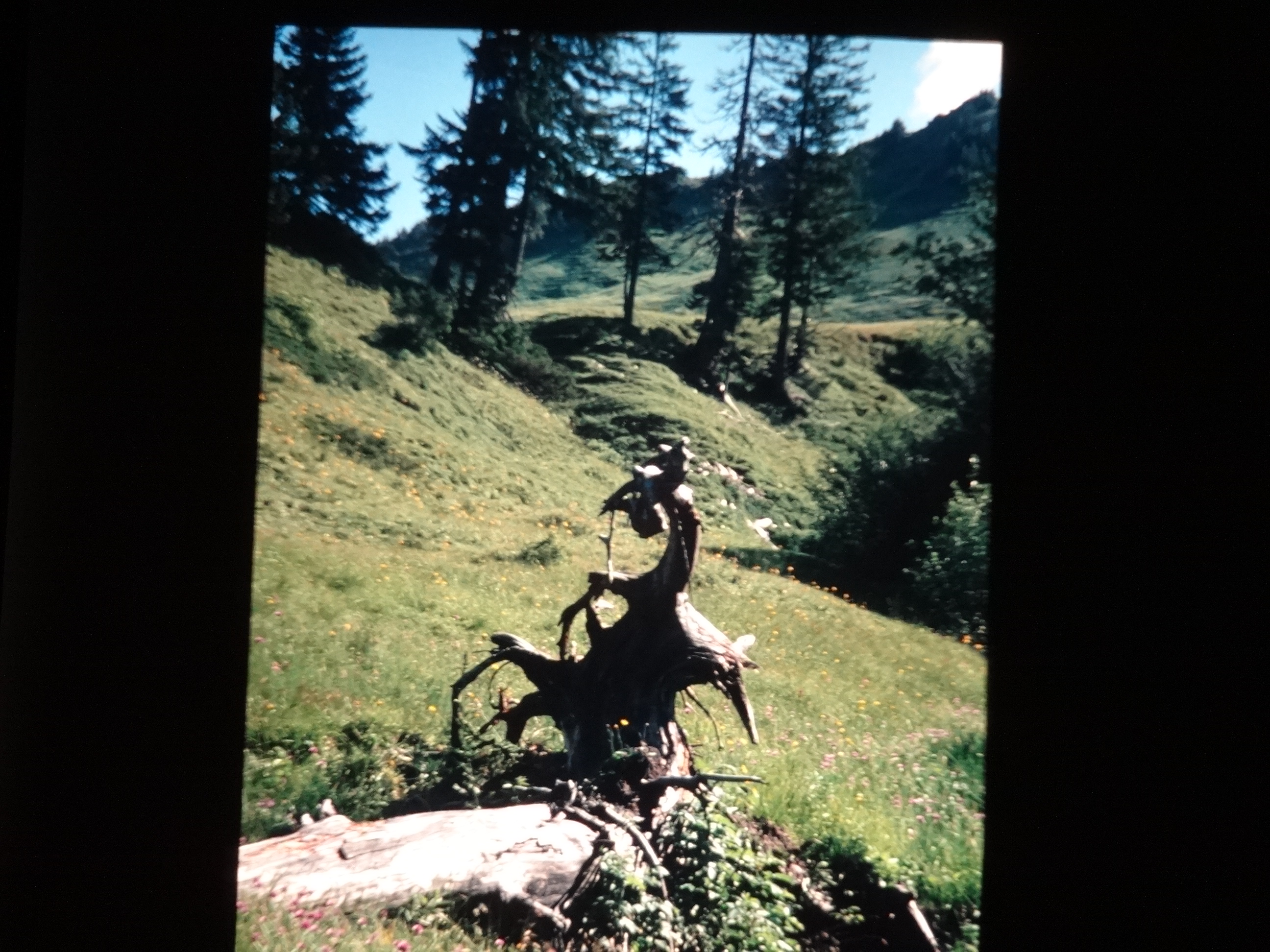 2000_dias_schoppernau040