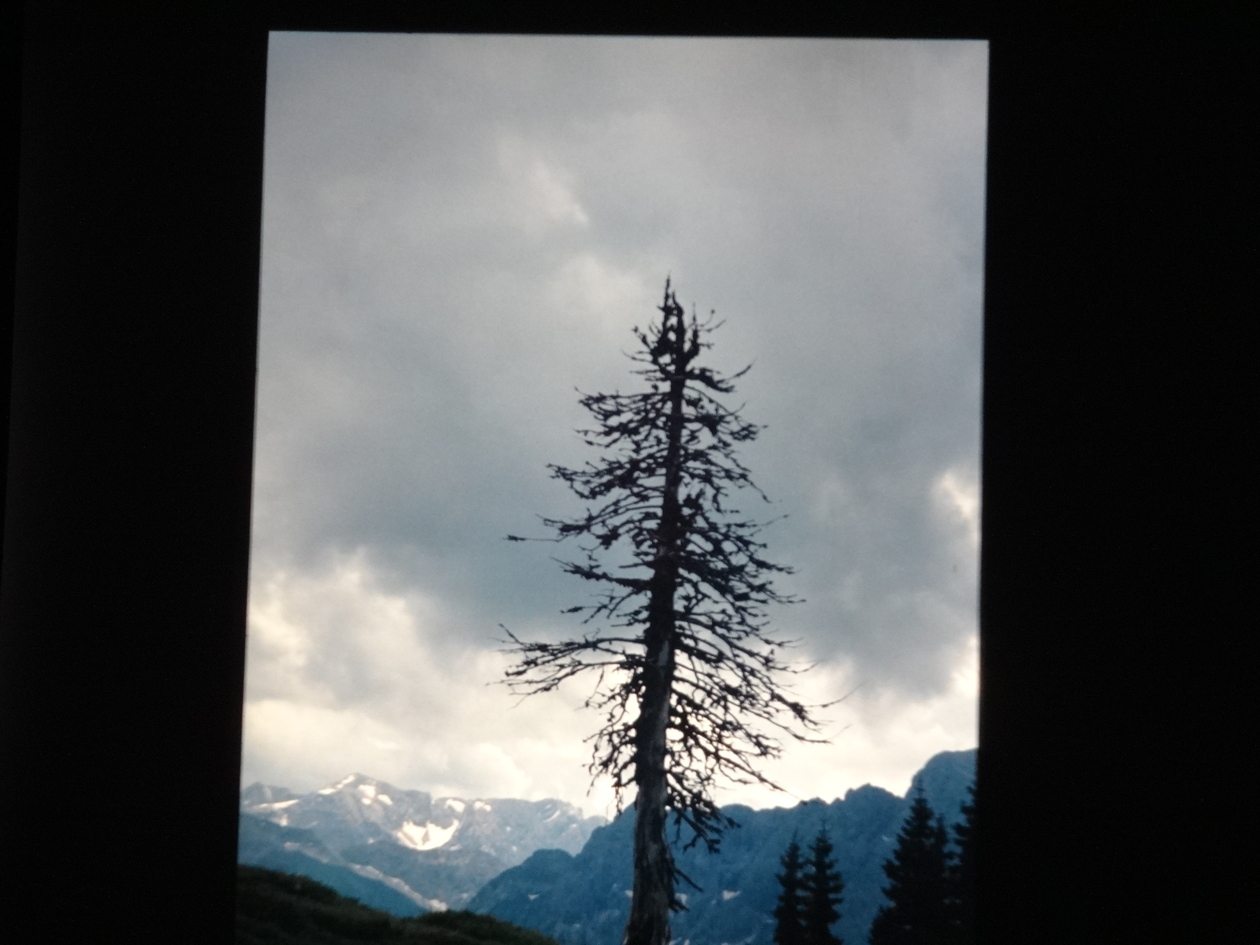 2000_dias_schoppernau050