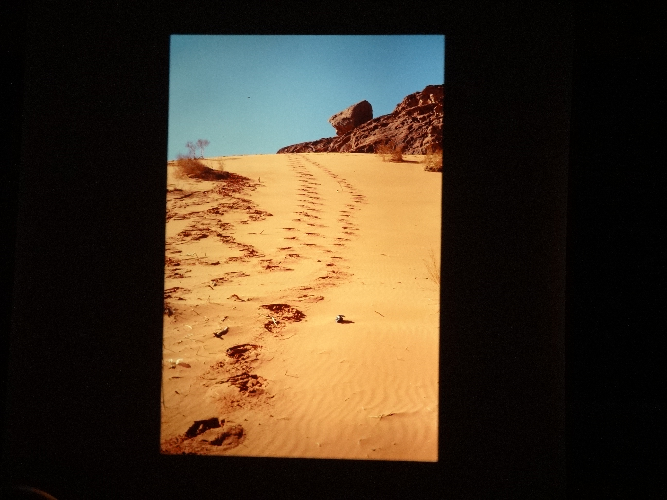 2000thomas_jordanien920___von_Ordner___2000_2001_dias_thomas_jordanien