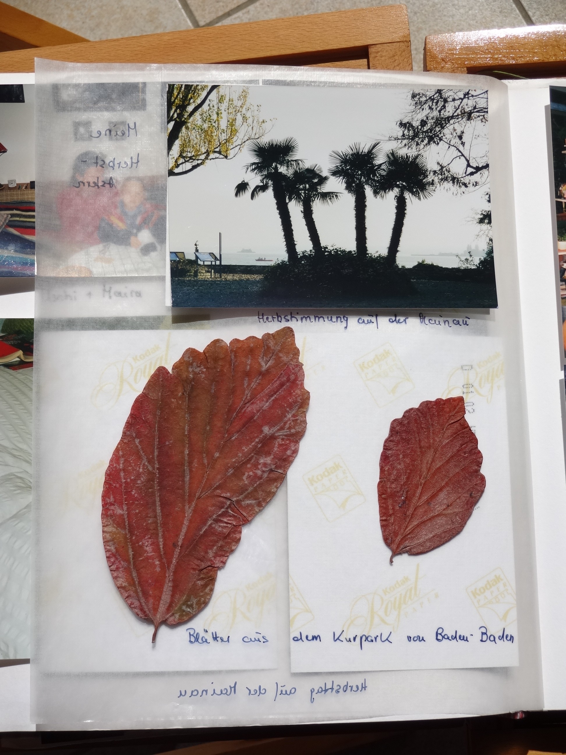 2001_230___von_Ordner___1997_2004