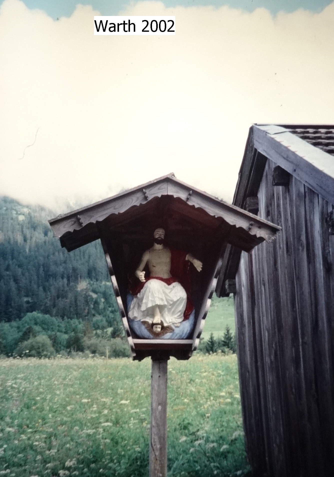 2001_warth010___von_Ordner___2001_2002dias_warth_blumen