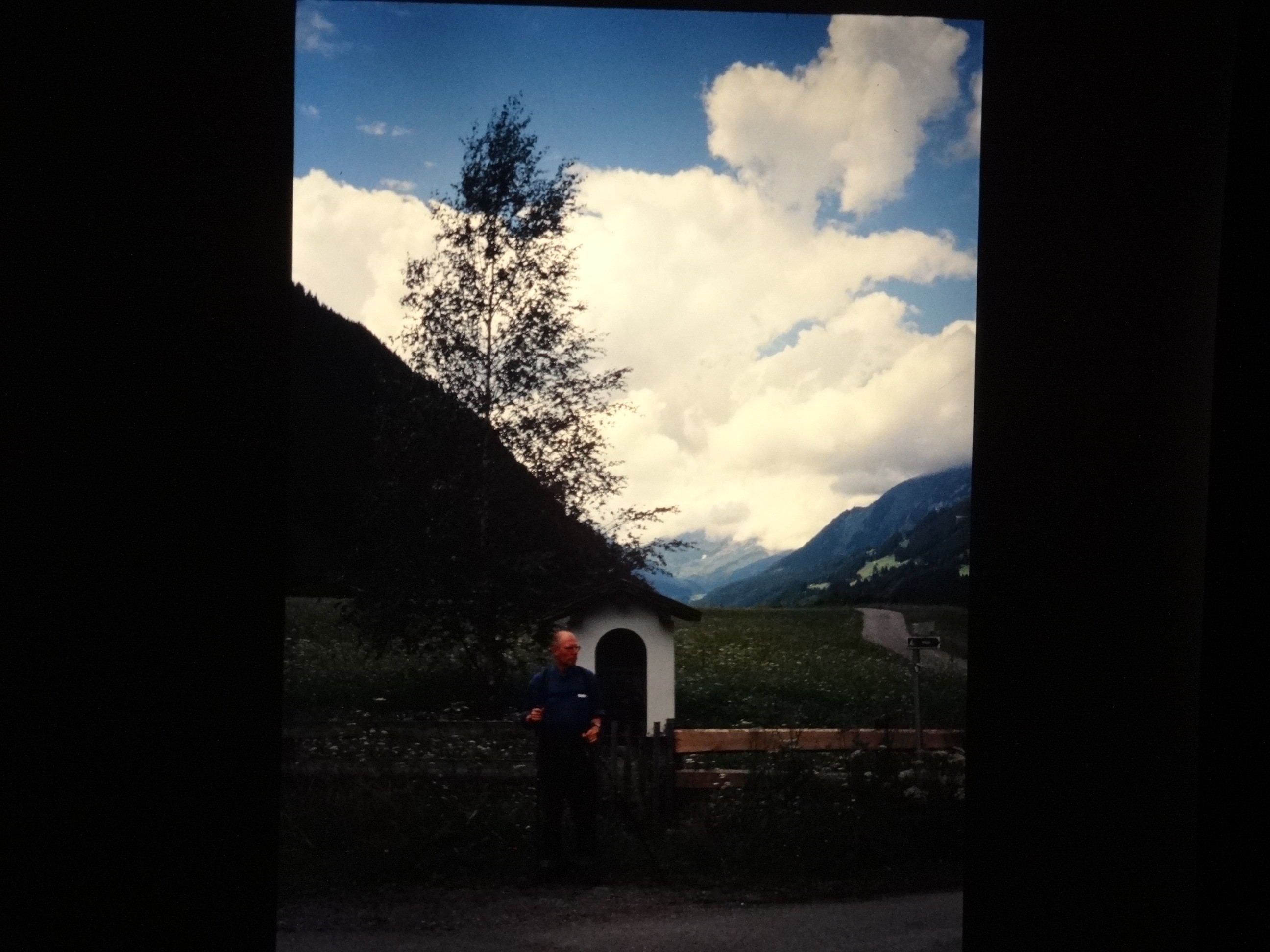 2001_warth040___von_Ordner___2001_2002dias_warth_blumen