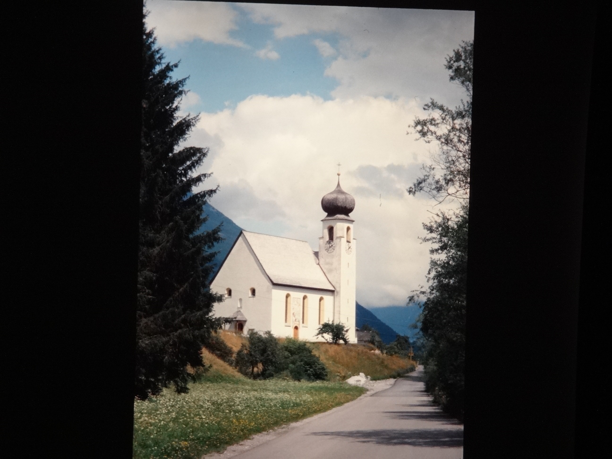 2001_warth050___von_Ordner___2001_2002dias_warth_blumen