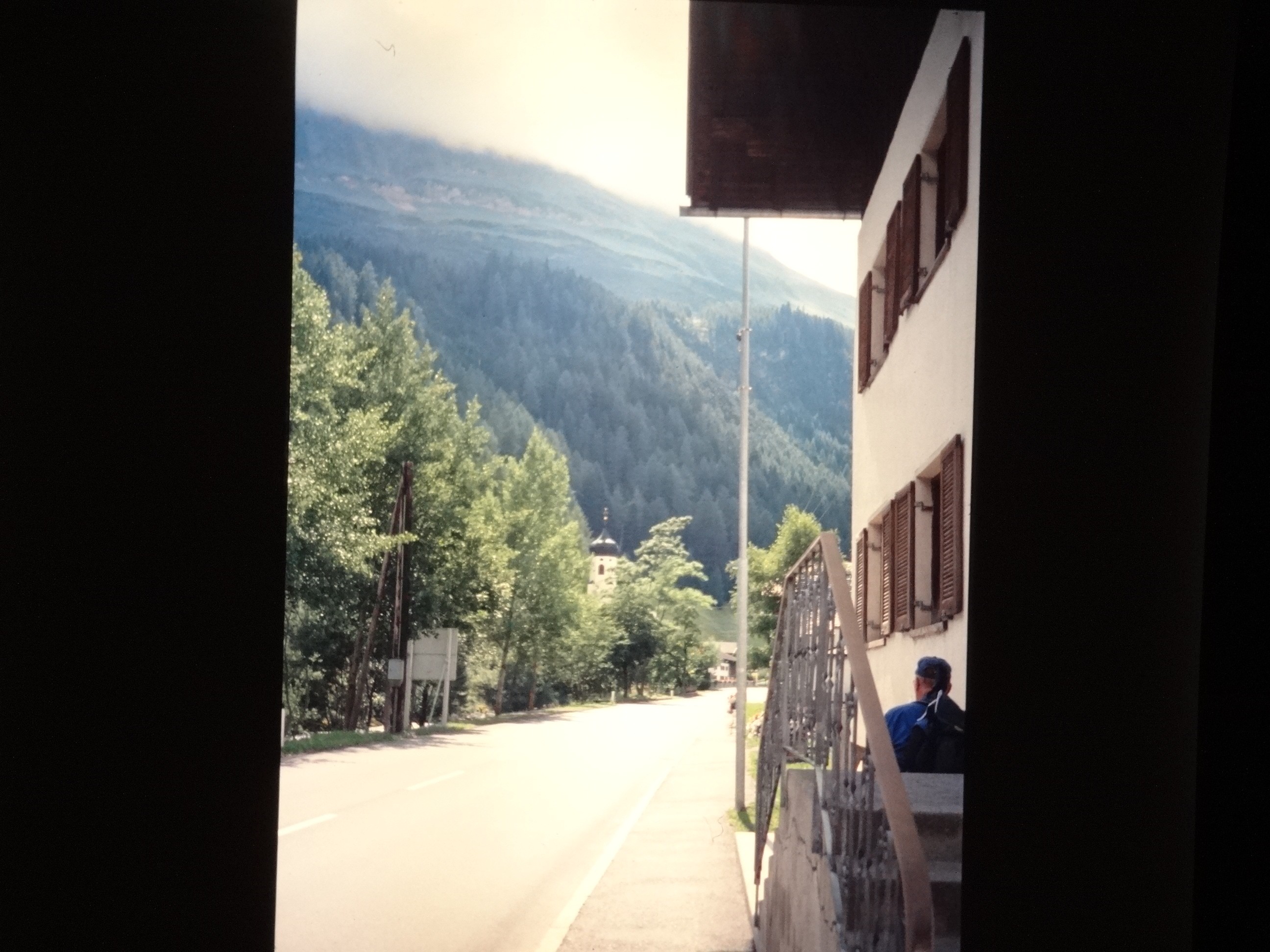 2001_warth060___von_Ordner___2001_2002dias_warth_blumen