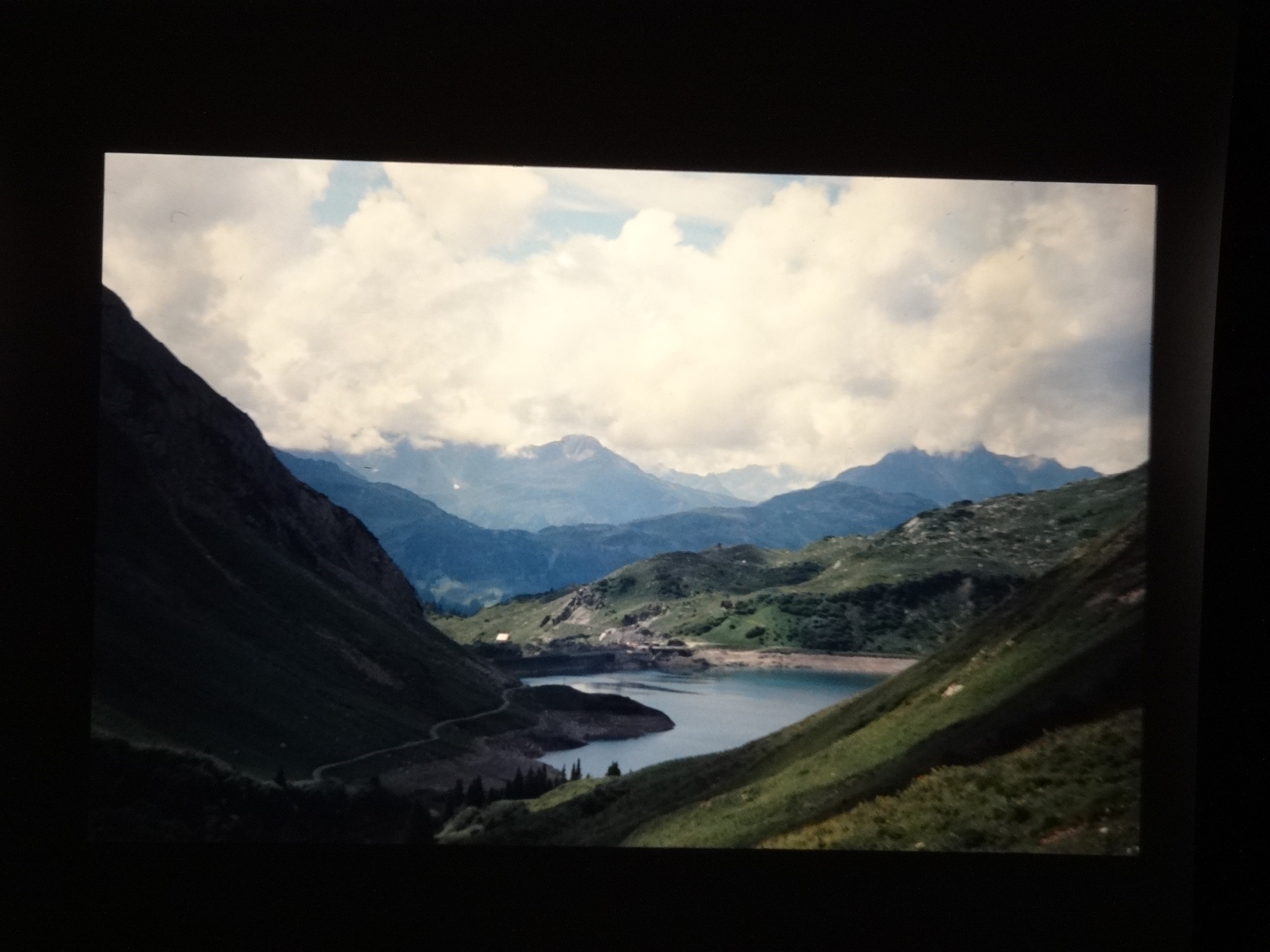 2001_warth110___von_Ordner___2001_2002dias_warth_blumen