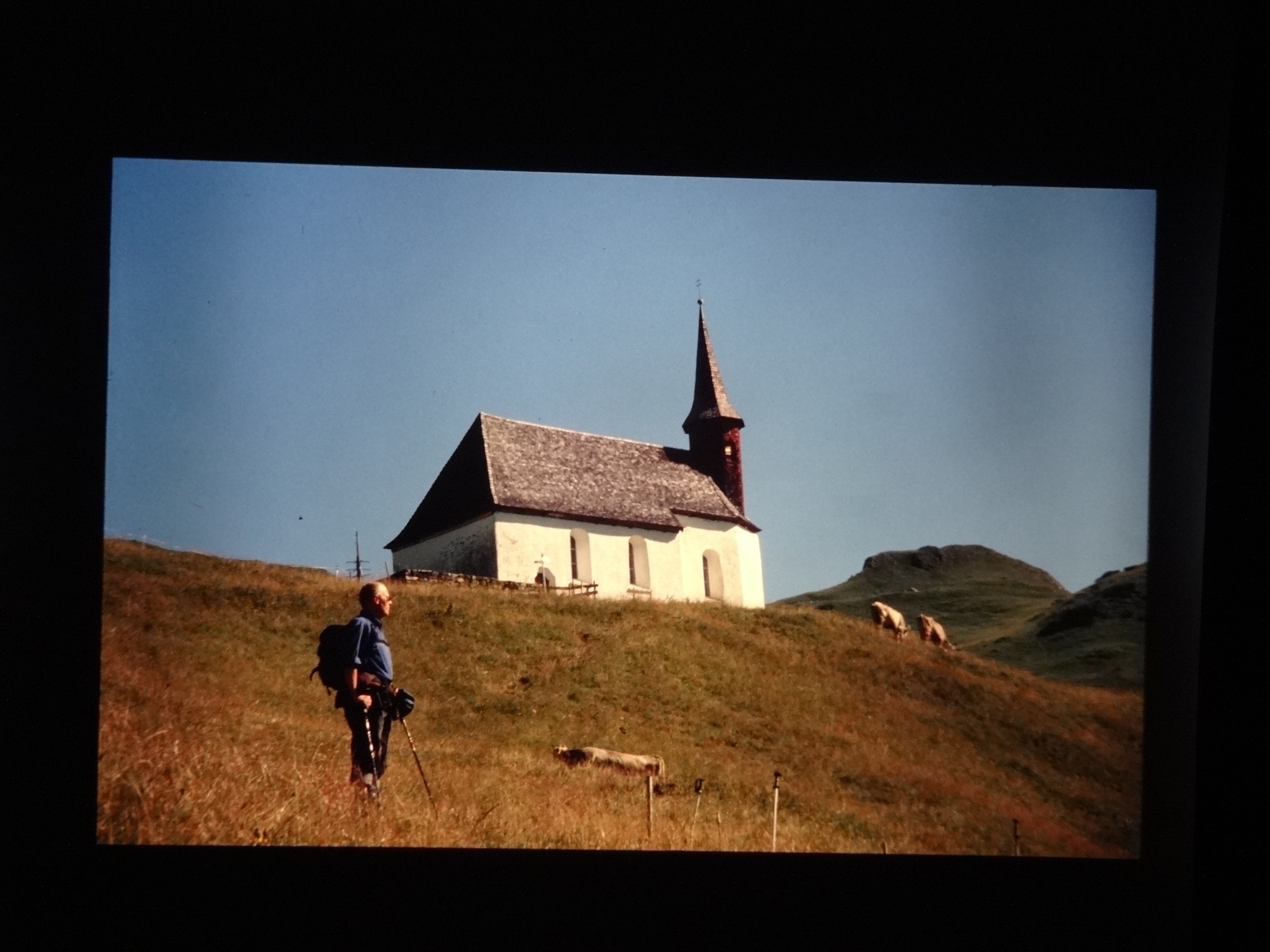 2001_warth160___von_Ordner___2001_2002dias_warth_blumen