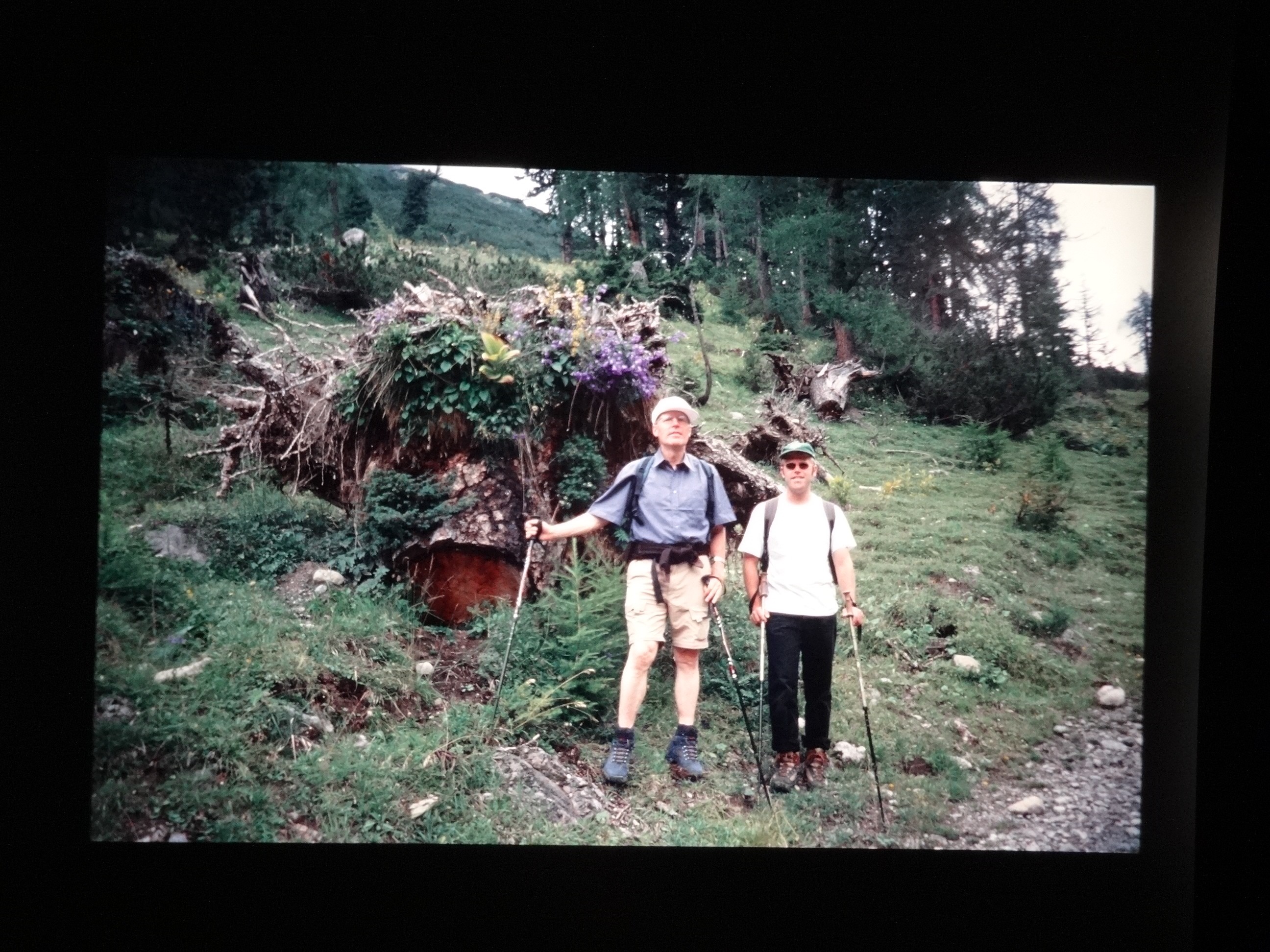 2001_warth200___von_Ordner___2001_2002dias_warth_blumen