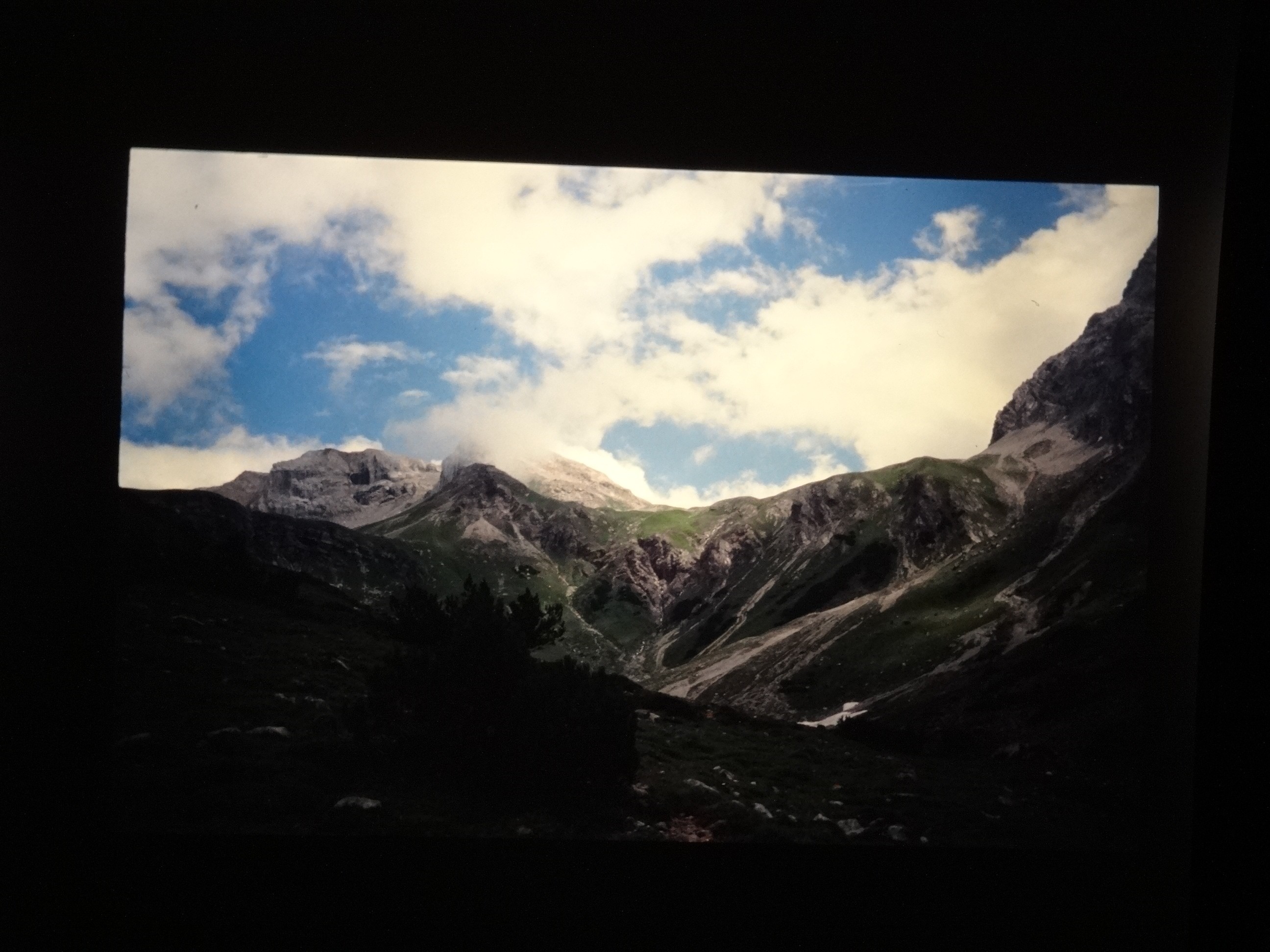 2001_warth210___von_Ordner___2001_2002dias_warth_blumen