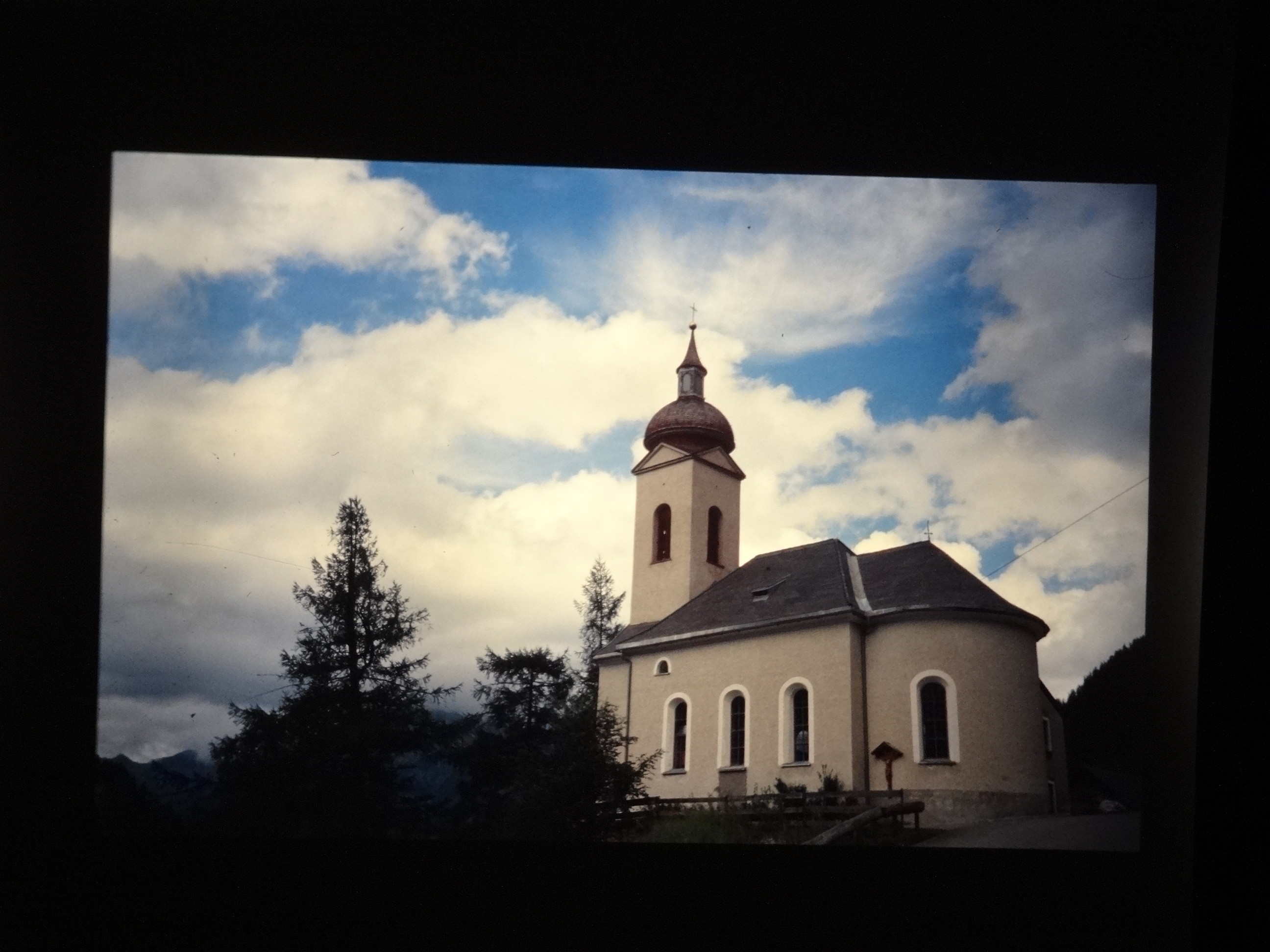 2001_warth240___von_Ordner___2001_2002dias_warth_blumen