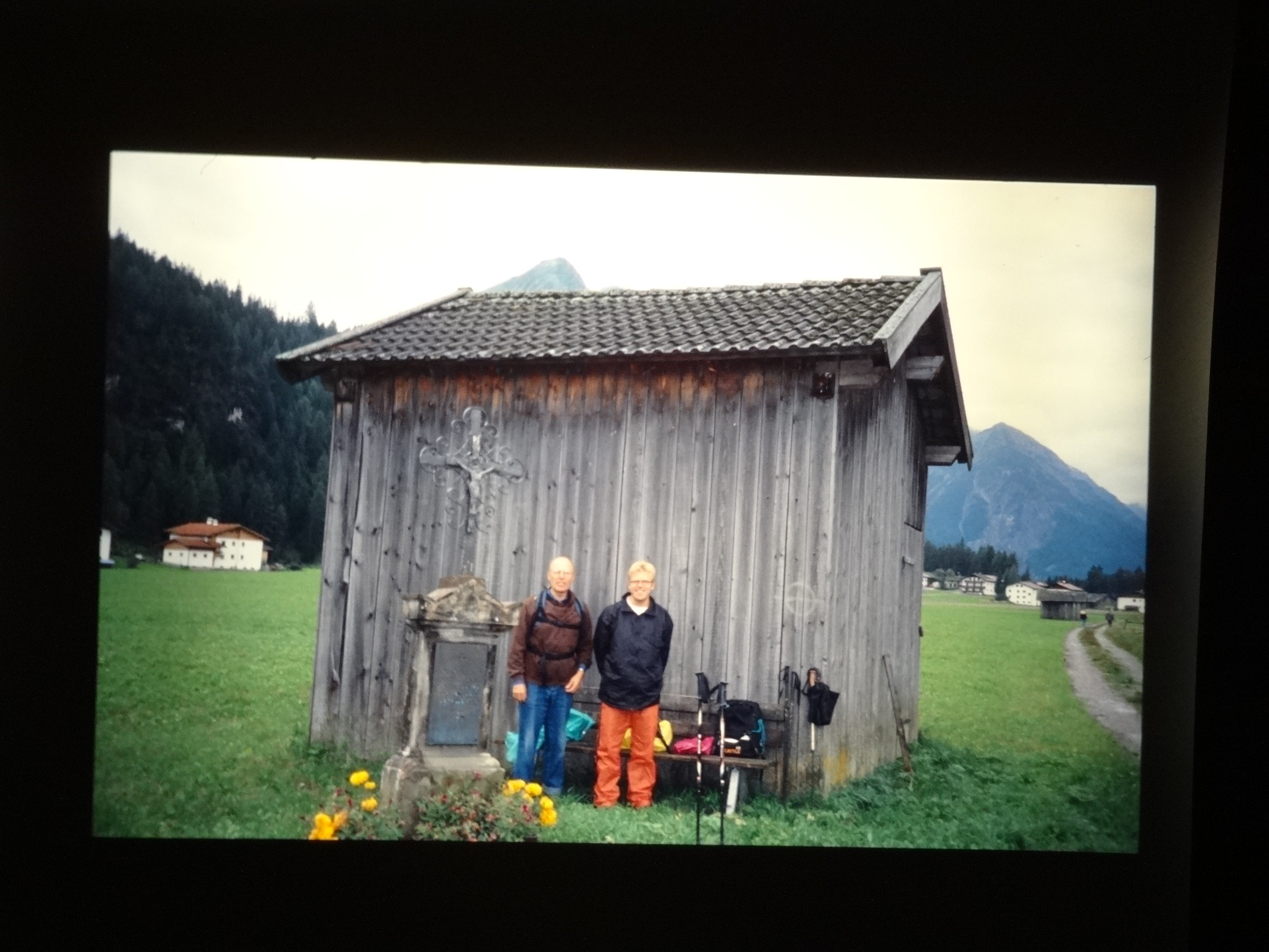 2001_warth250___von_Ordner___2001_2002dias_warth_blumen