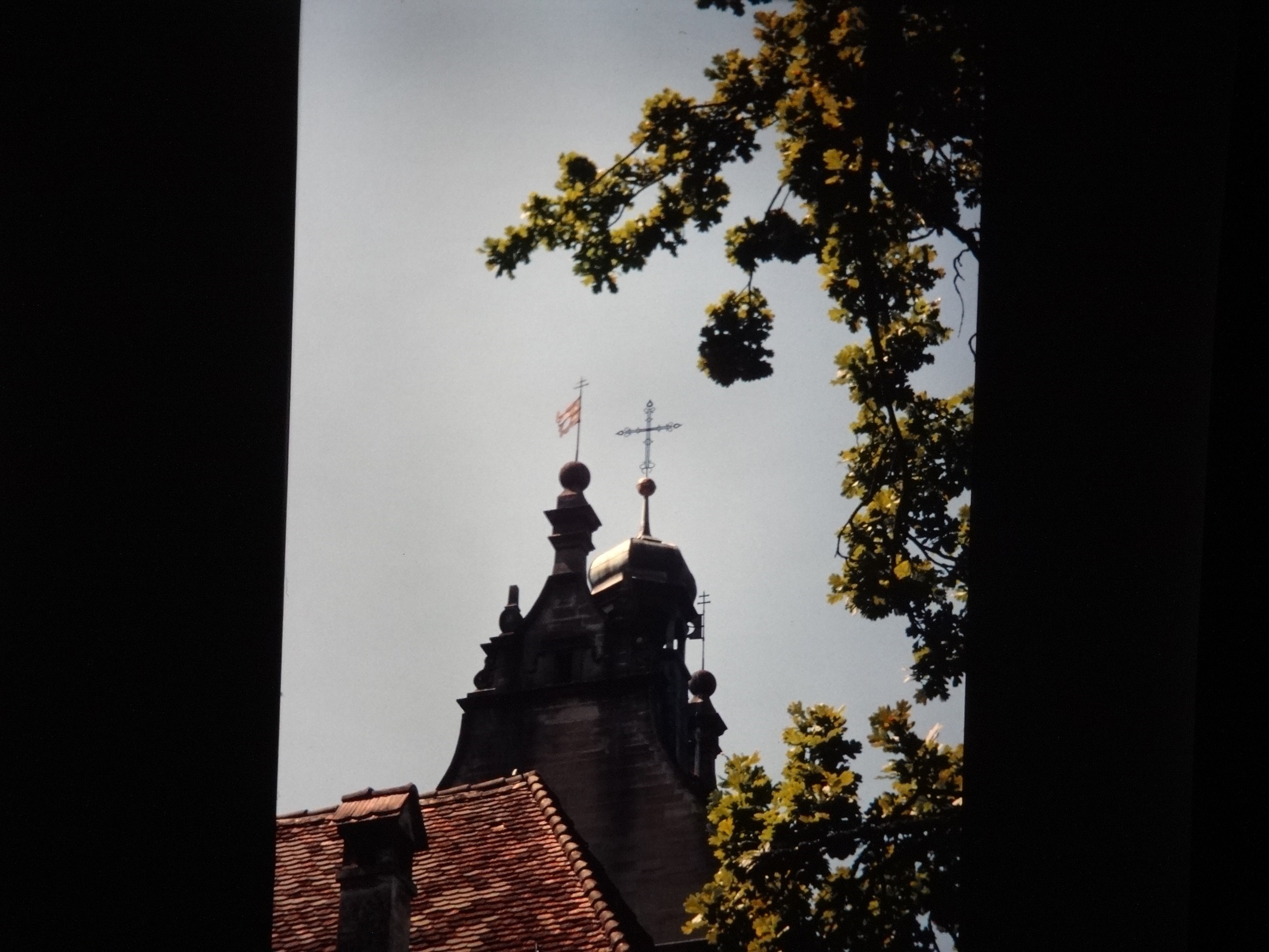 2001_warth270___von_Ordner___2001_2002dias_warth_blumen