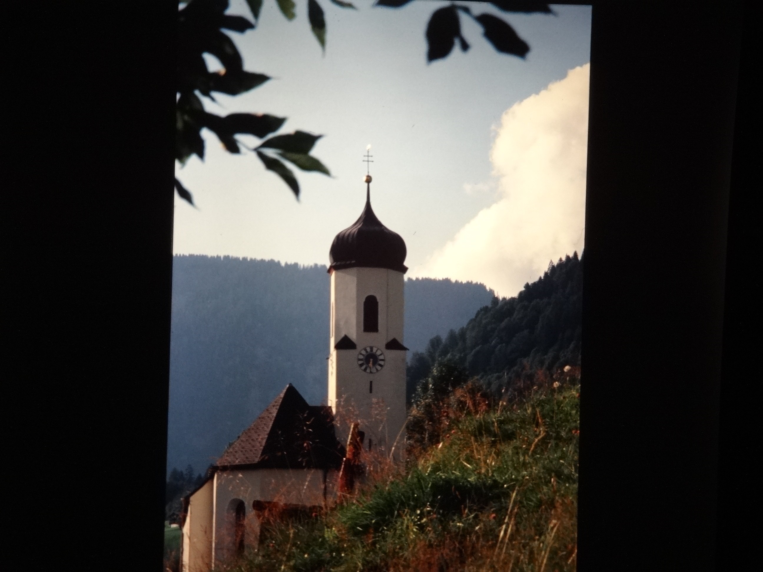 2001_warth280___von_Ordner___2001_2002dias_warth_blumen