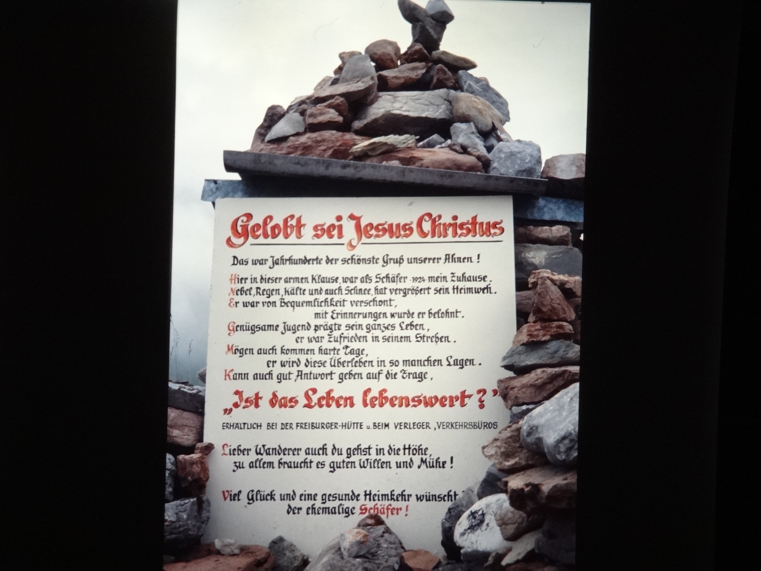 2001_warth290___von_Ordner___2001_2002dias_warth_blumen