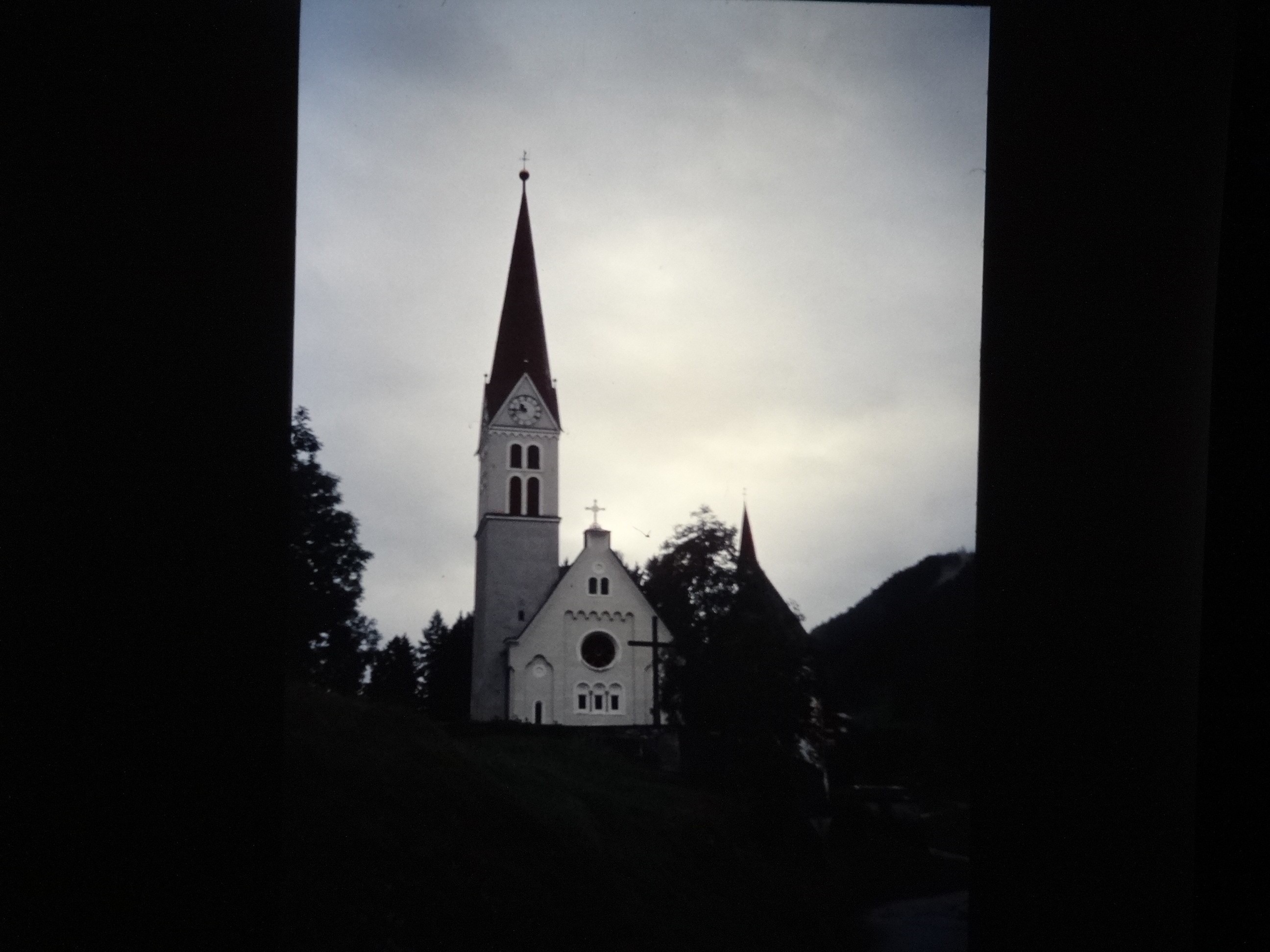 2001_warth340___von_Ordner___2001_2002dias_warth_blumen