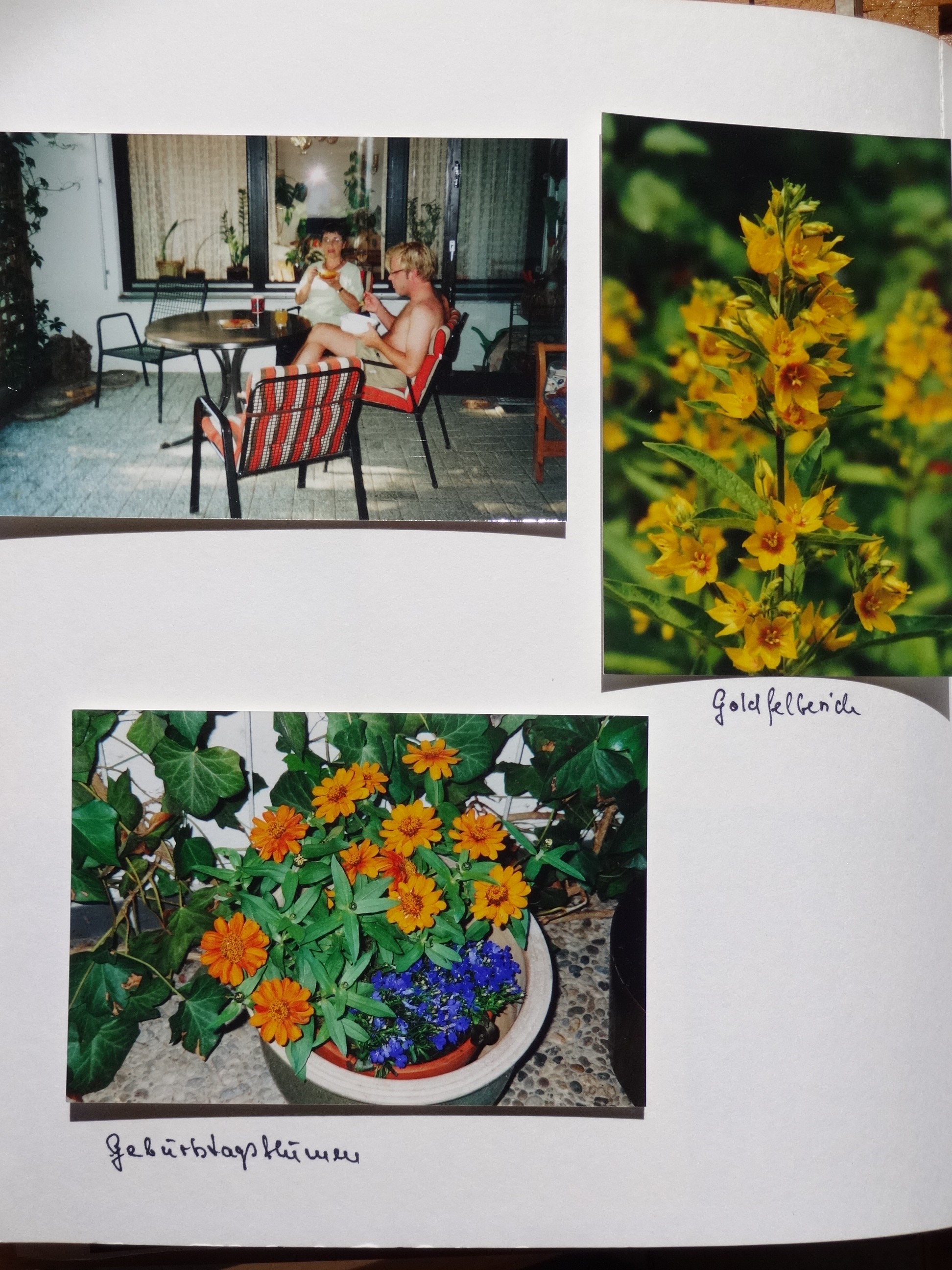 2002_170___von_Ordner___1997_2004