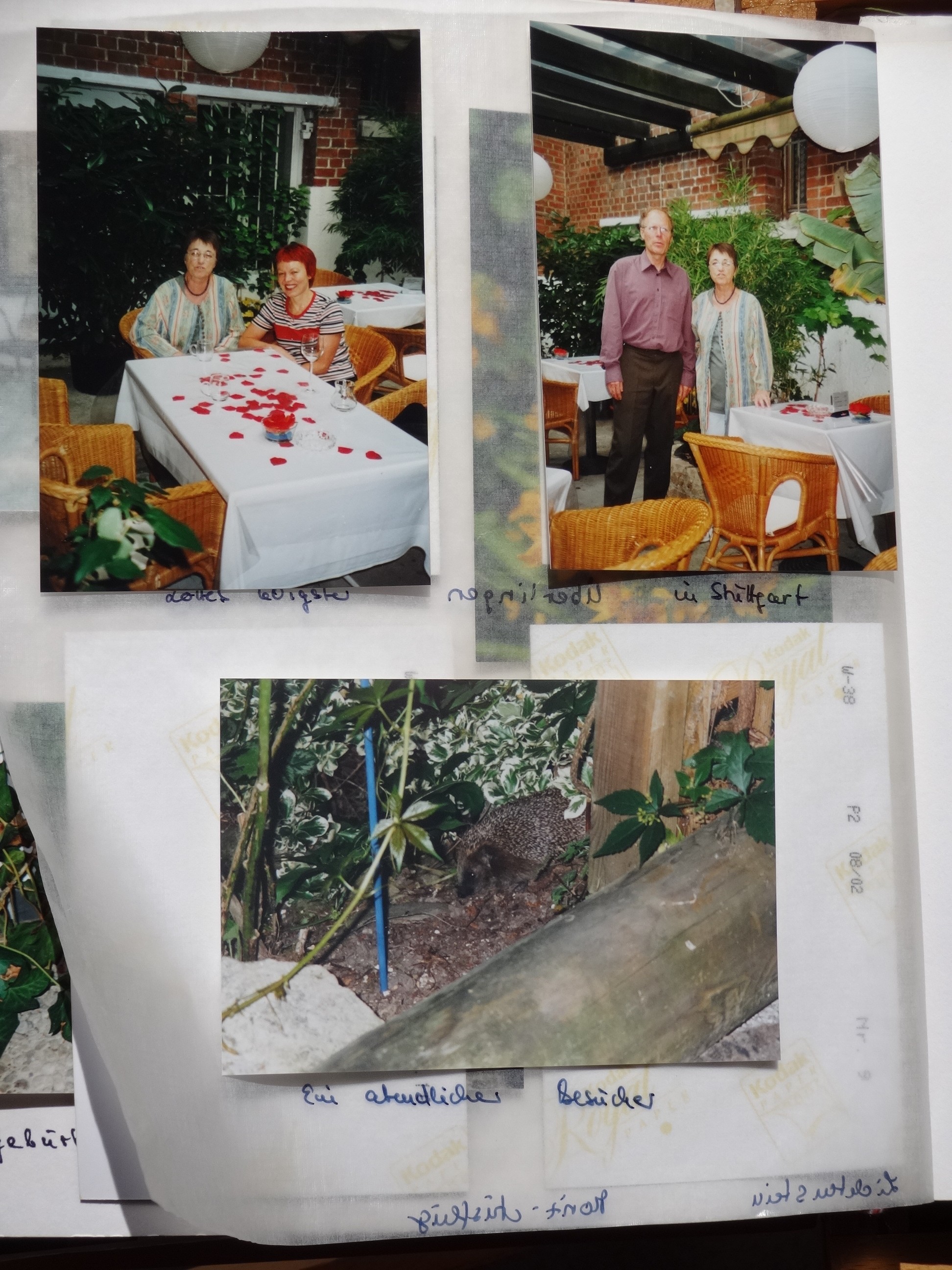 2002_190___von_Ordner___1997_2004