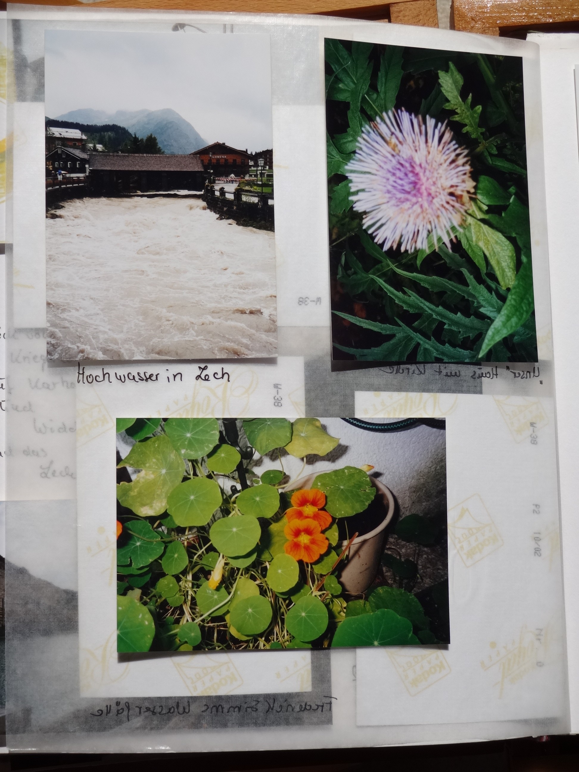 2002_230___von_Ordner___1997_2004