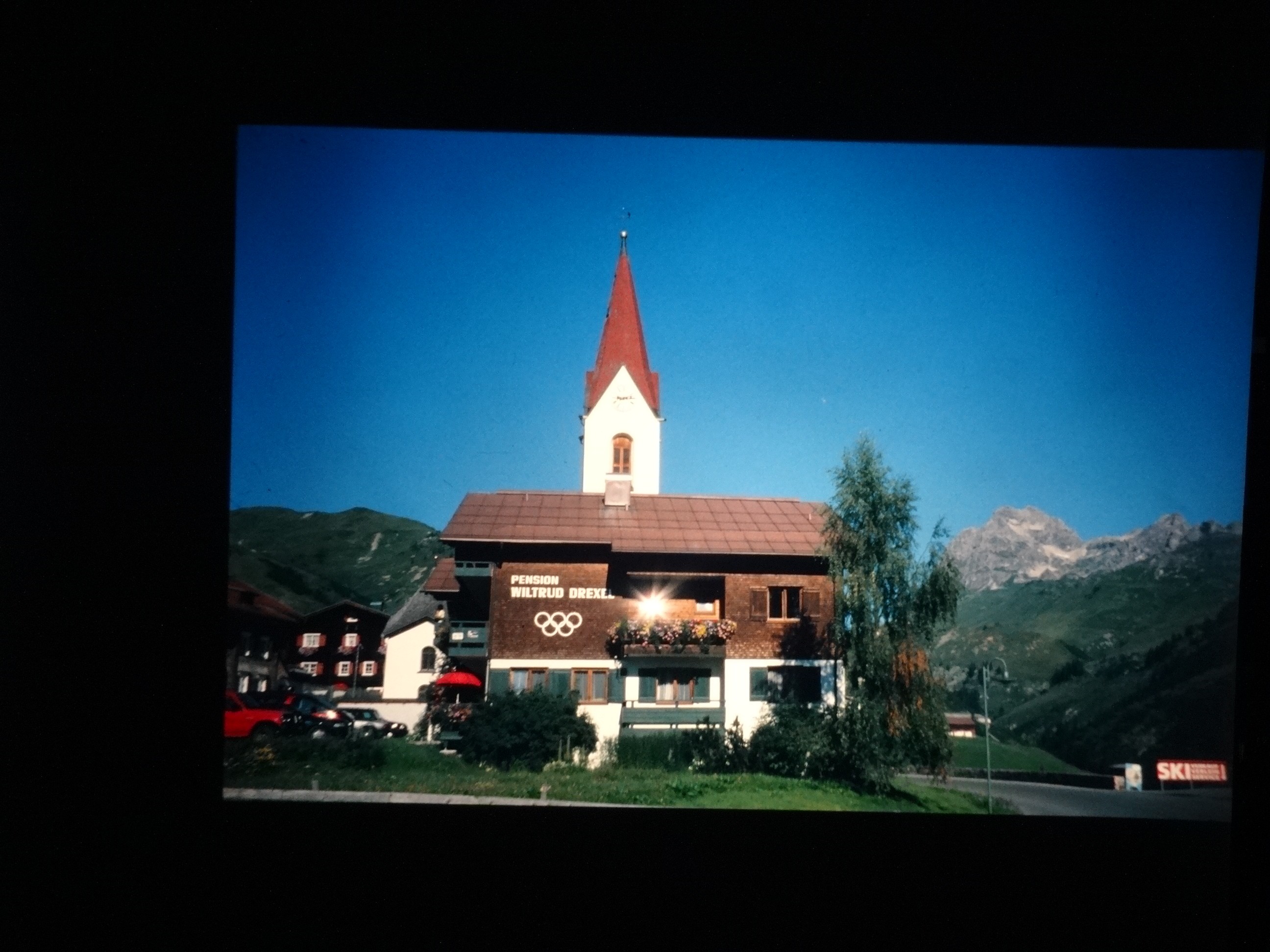 2002_warth030___von_Ordner___2001_2002dias_warth_blumen