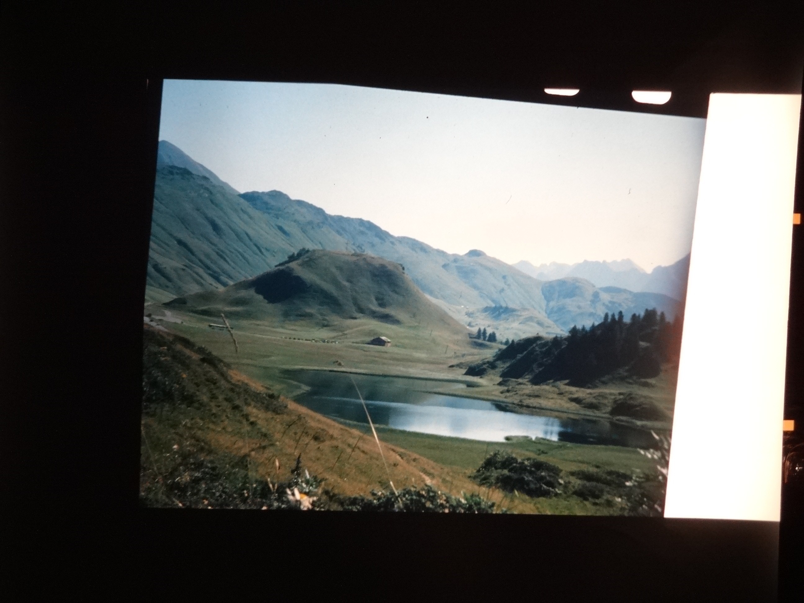 2002_warth040___von_Ordner___2001_2002dias_warth_blumen