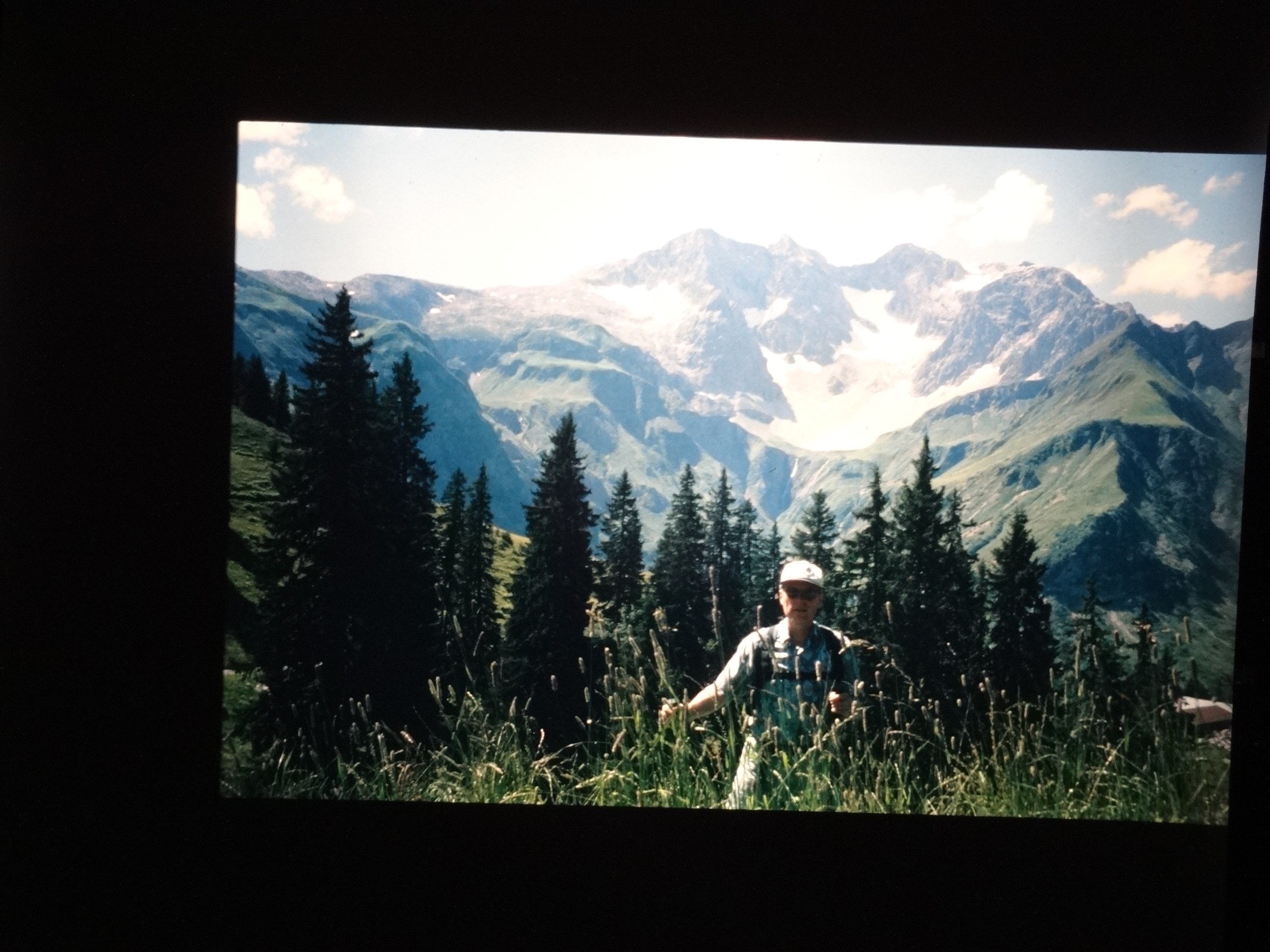 2002_warth050___von_Ordner___2001_2002dias_warth_blumen