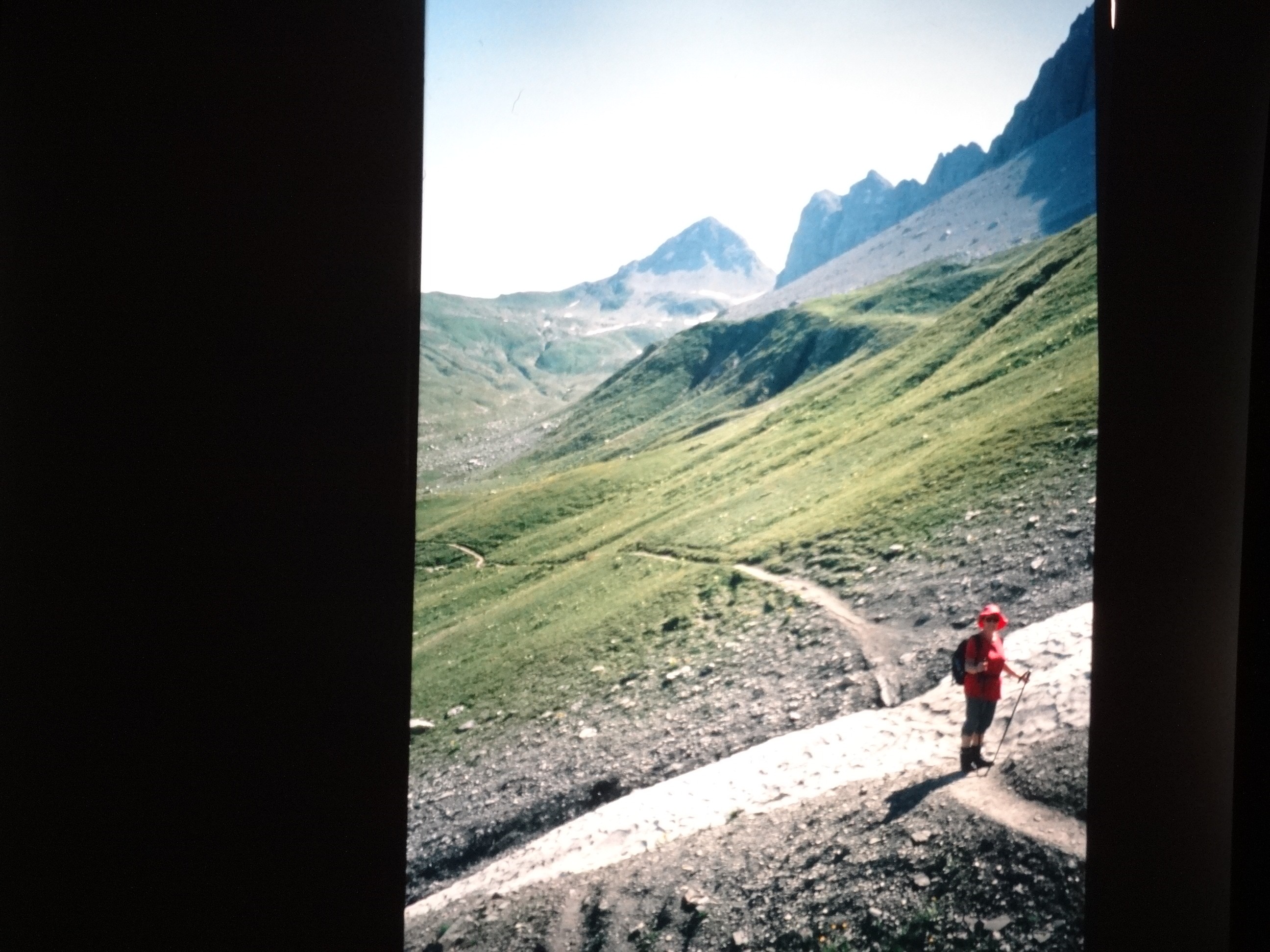 2002_warth060___von_Ordner___2001_2002dias_warth_blumen