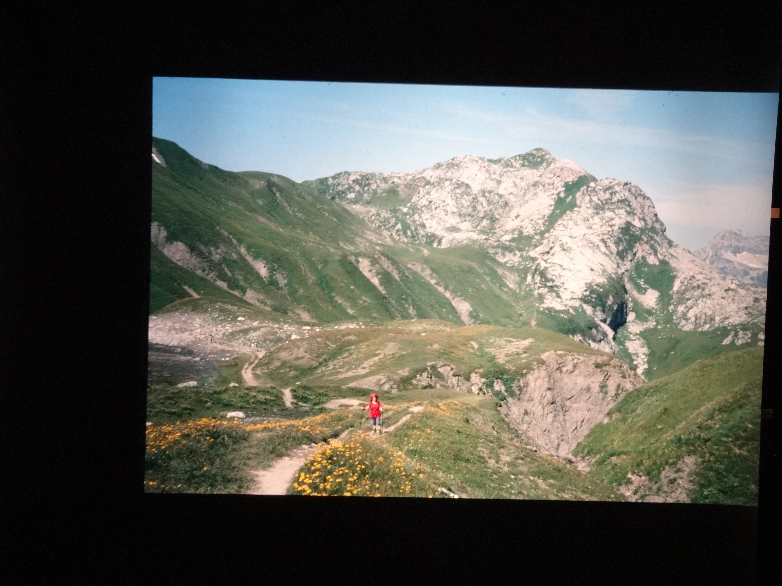 2002_warth070___von_Ordner___2001_2002dias_warth_blumen