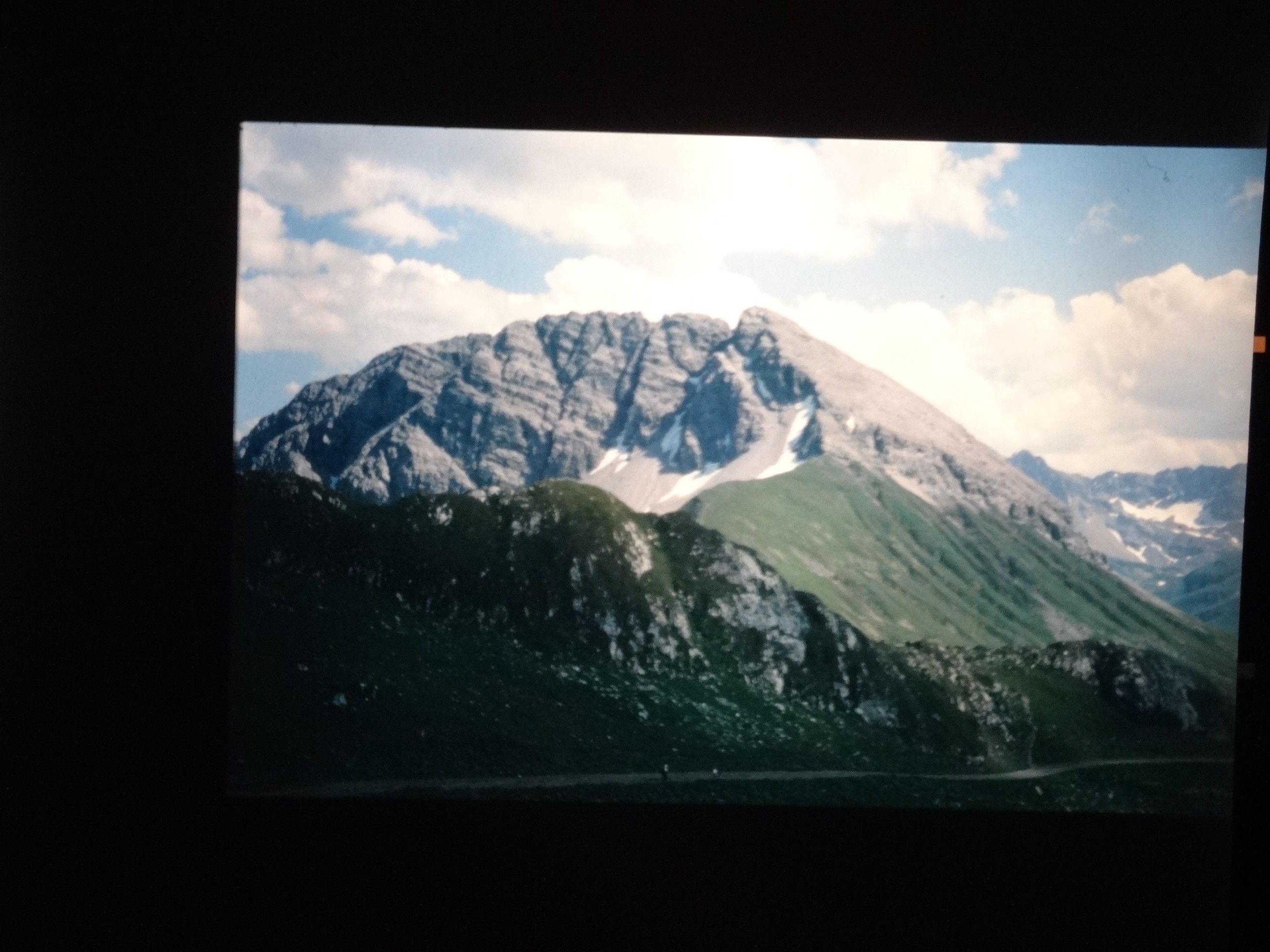 2002_warth080___von_Ordner___2001_2002dias_warth_blumen