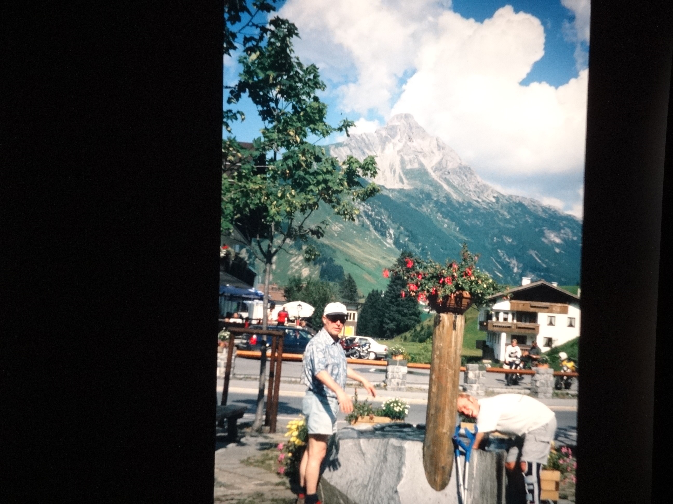 2002_warth090___von_Ordner___2001_2002dias_warth_blumen