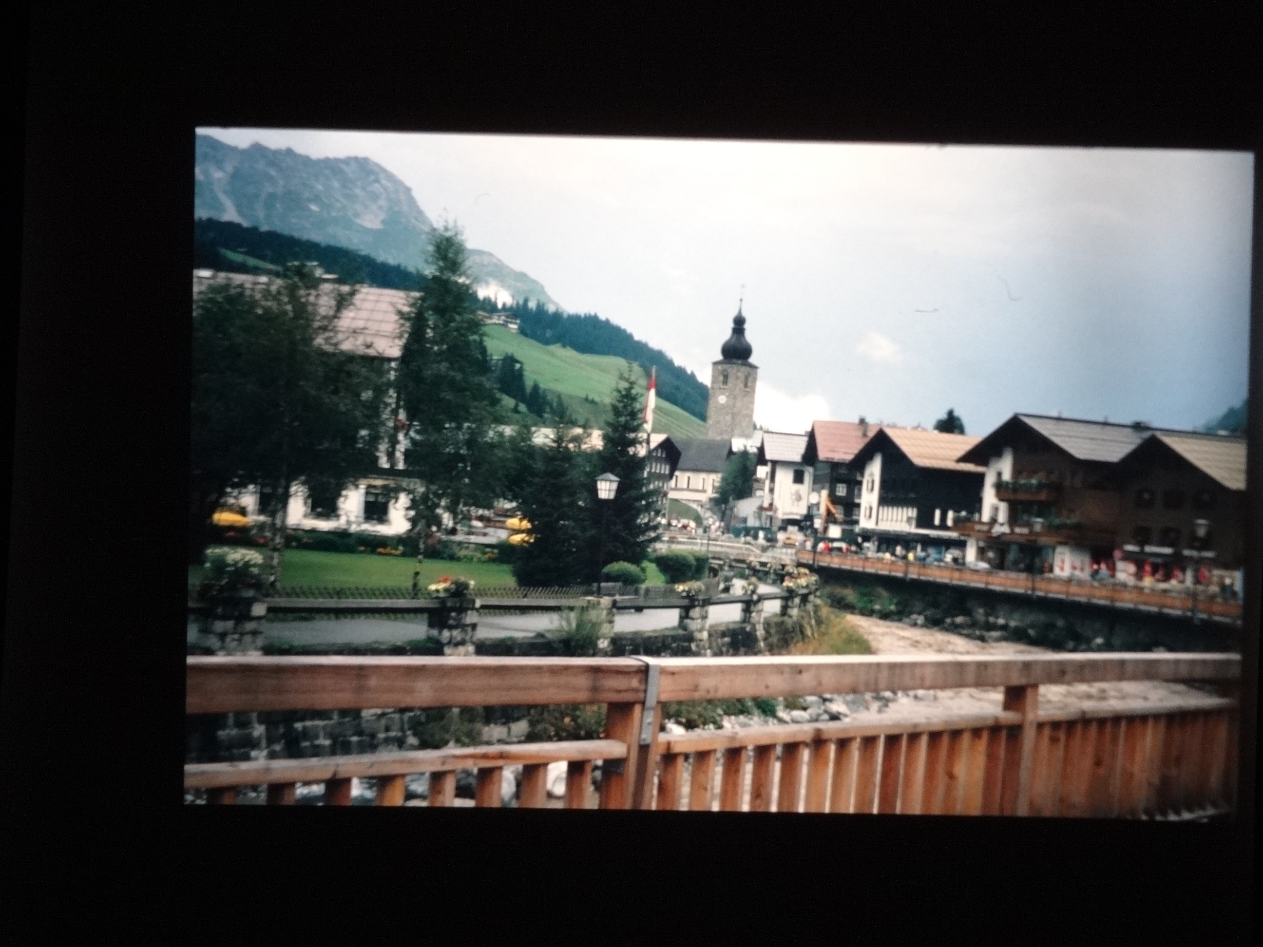 2002_warth100___von_Ordner___2001_2002dias_warth_blumen