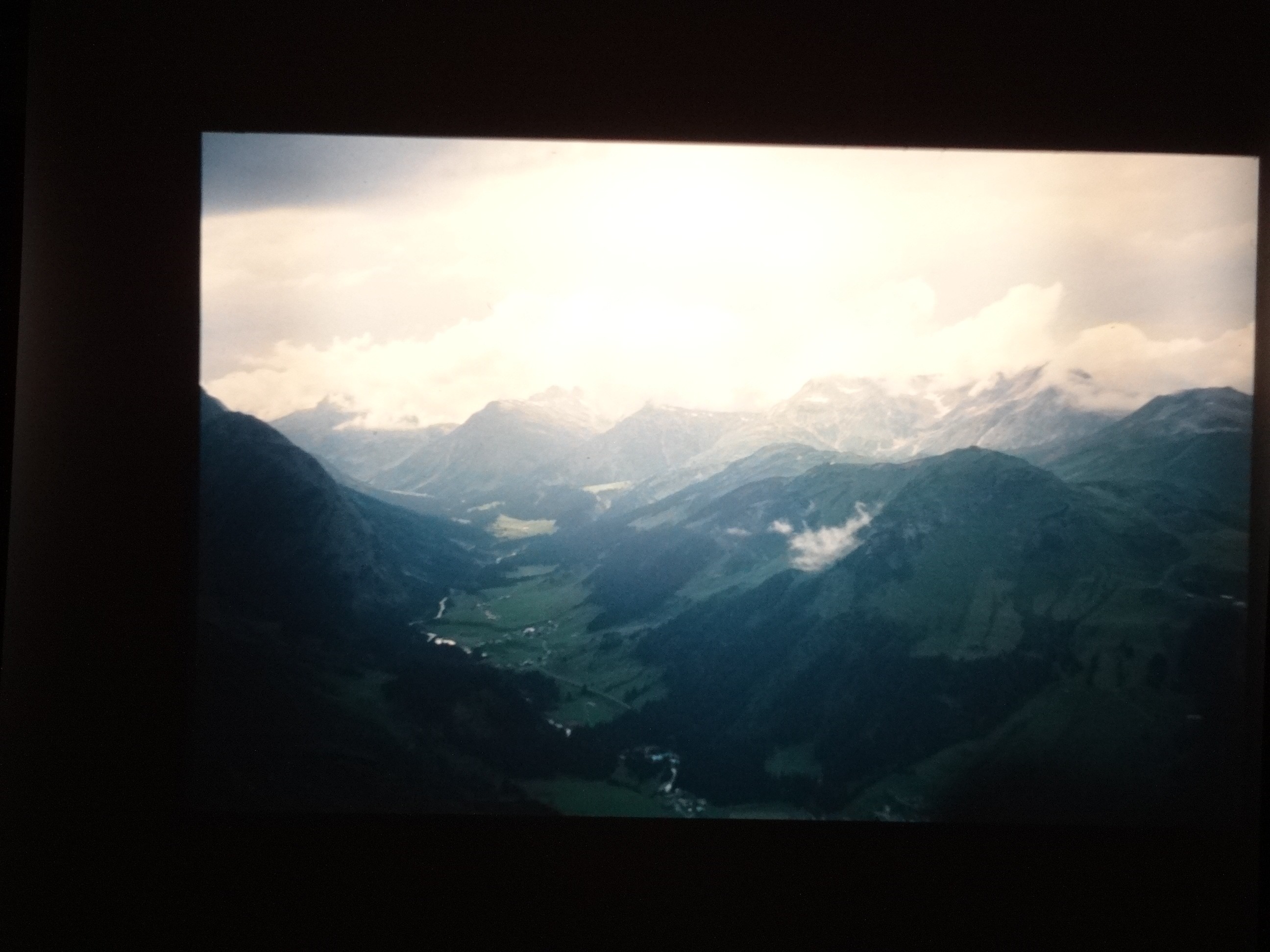 2002_warth110___von_Ordner___2001_2002dias_warth_blumen