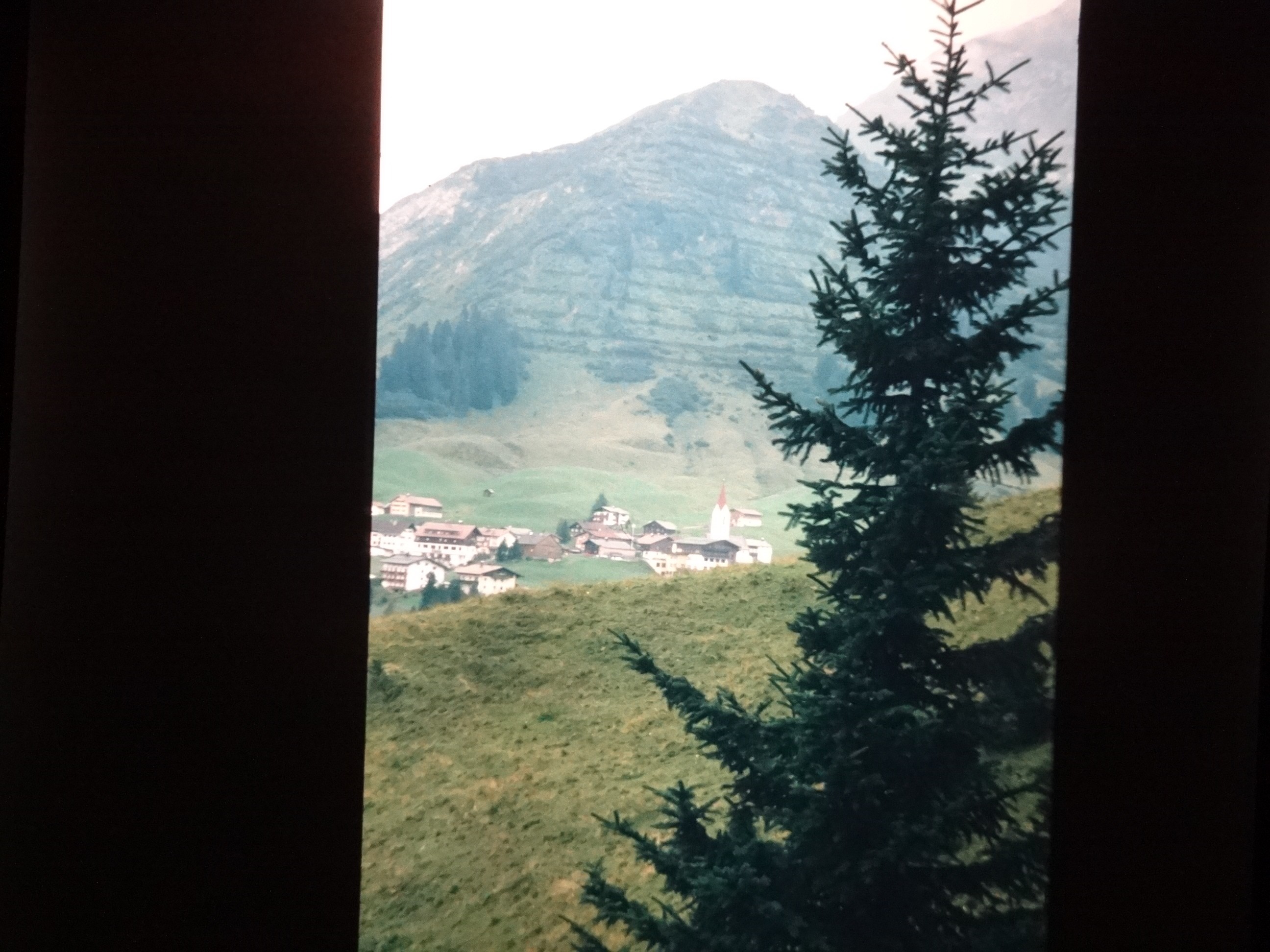 2002_warth140___von_Ordner___2001_2002dias_warth_blumen