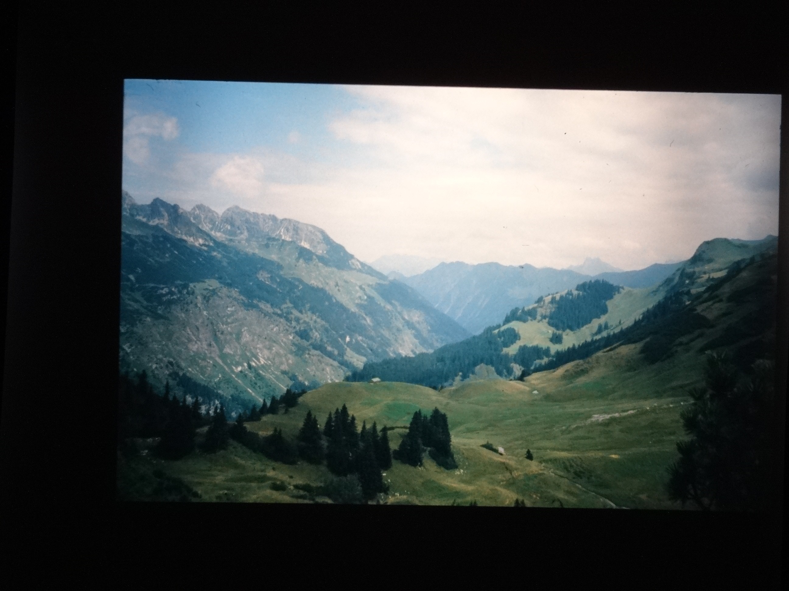 2002_warth150___von_Ordner___2001_2002dias_warth_blumen