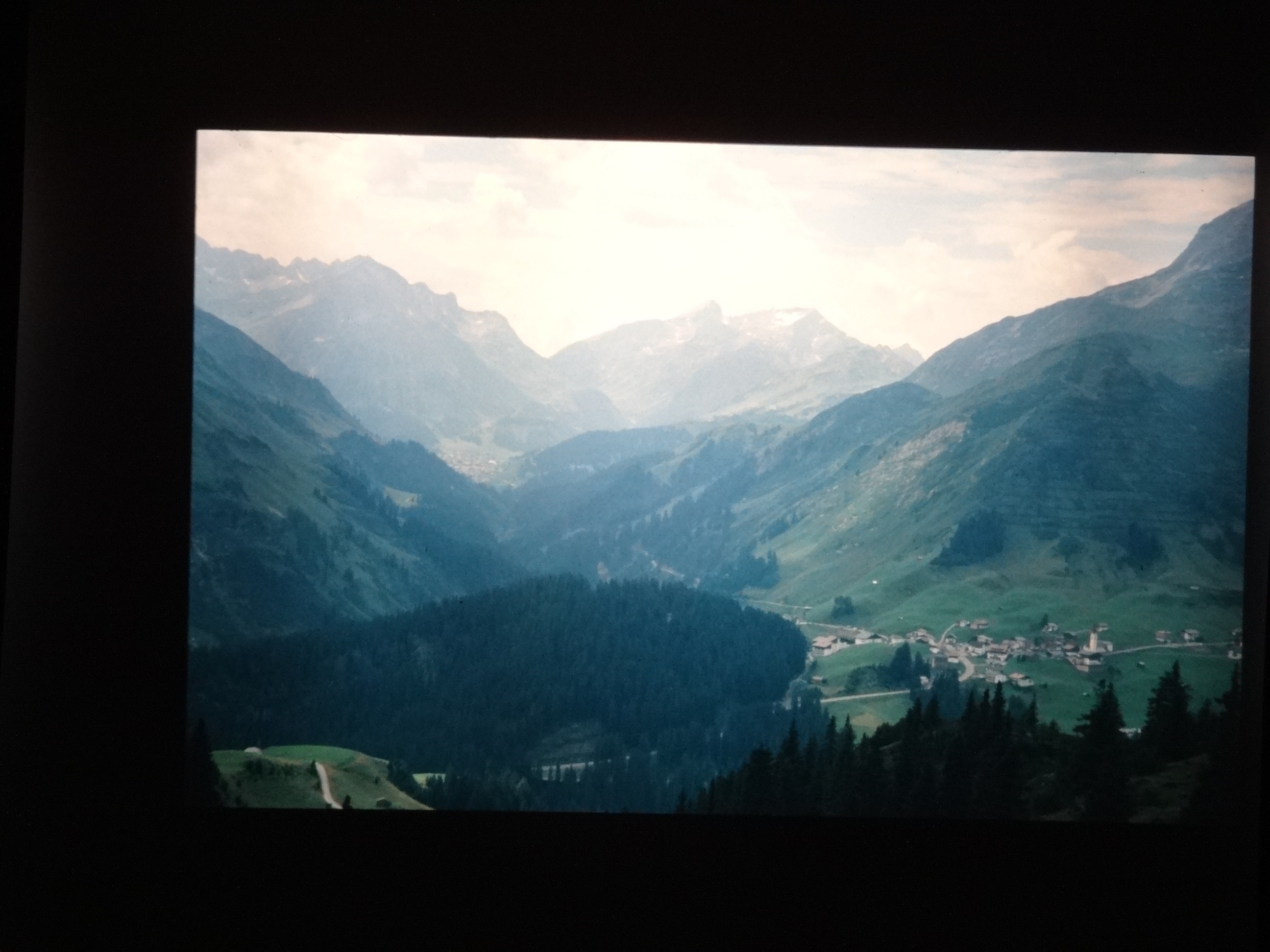 2002_warth160___von_Ordner___2001_2002dias_warth_blumen