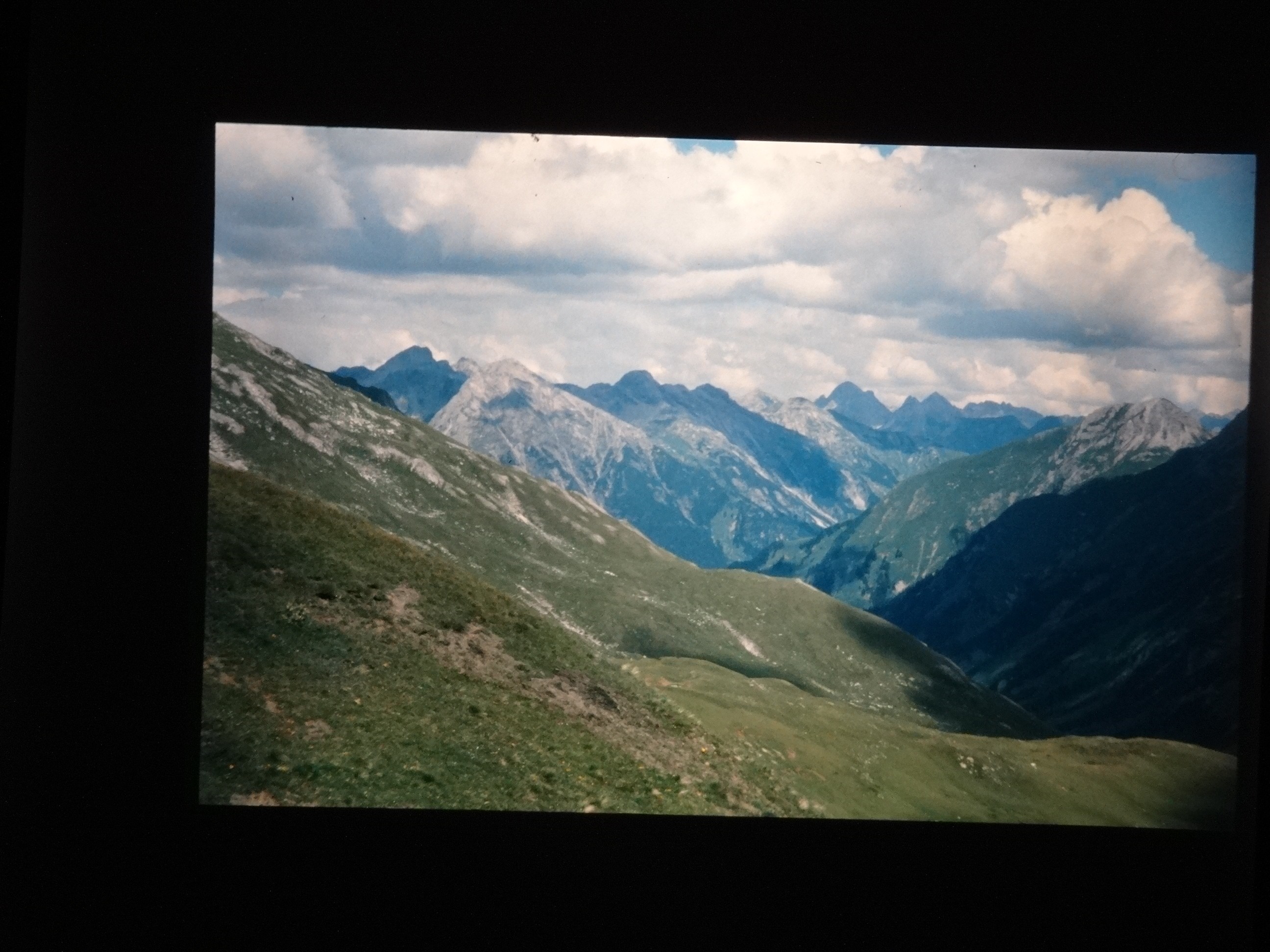 2002_warth170___von_Ordner___2001_2002dias_warth_blumen