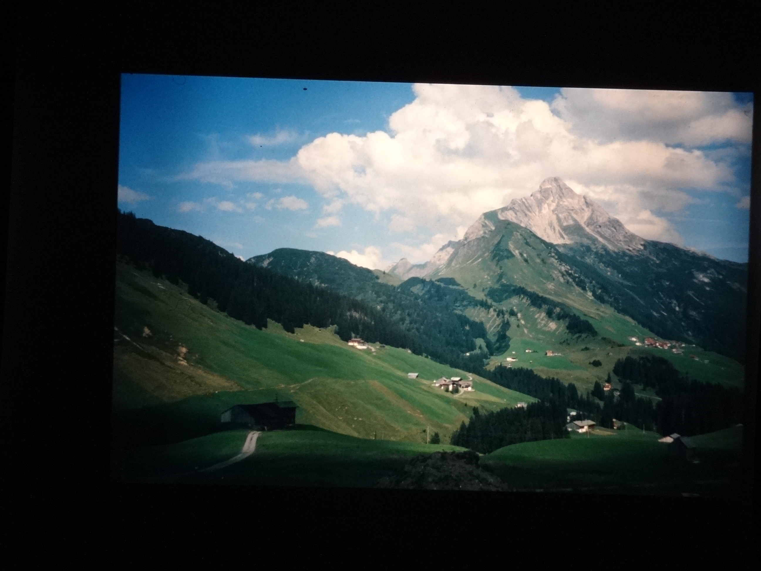 2002_warth190___von_Ordner___2001_2002dias_warth_blumen