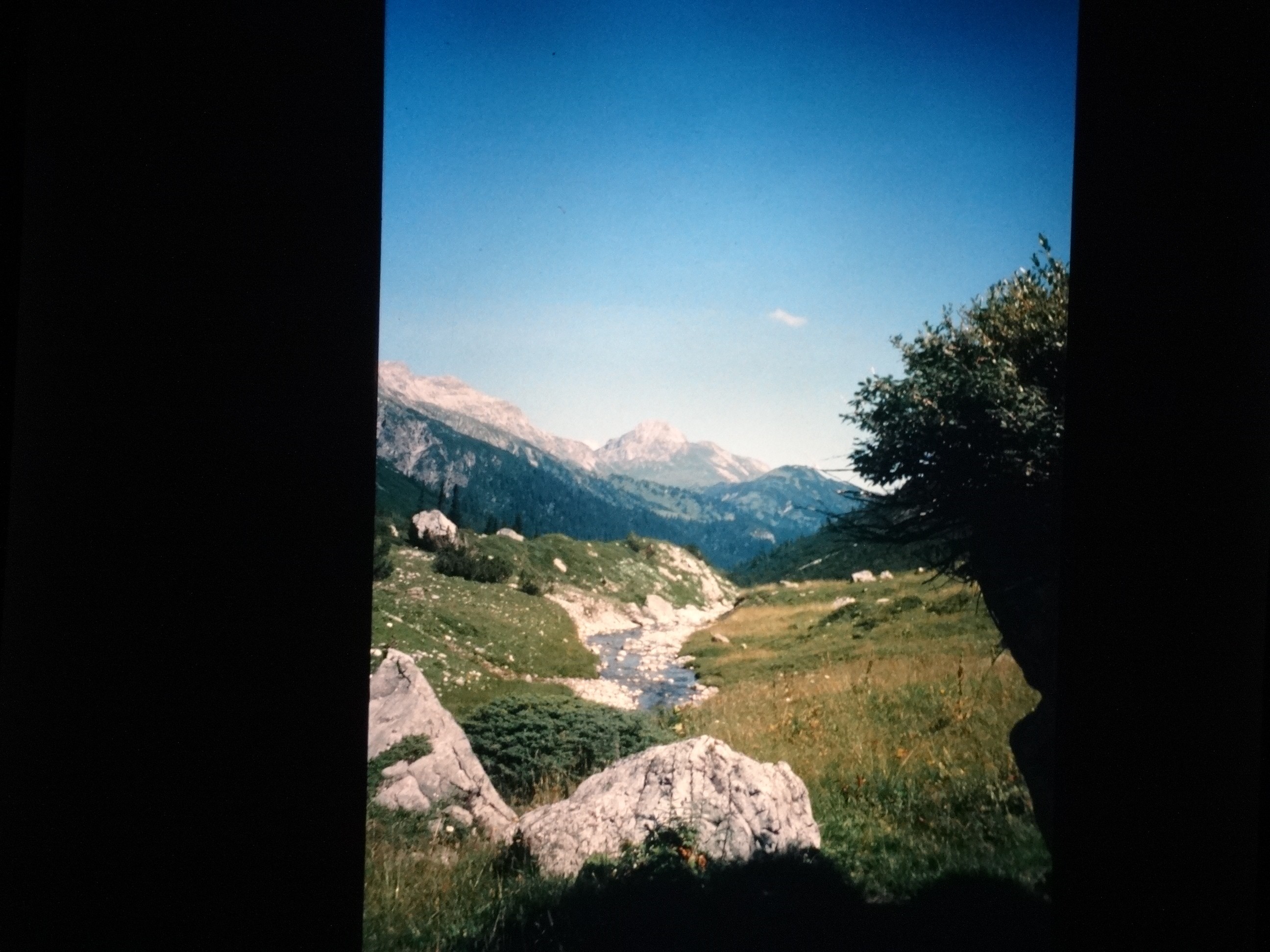 2002_warth200___von_Ordner___2001_2002dias_warth_blumen