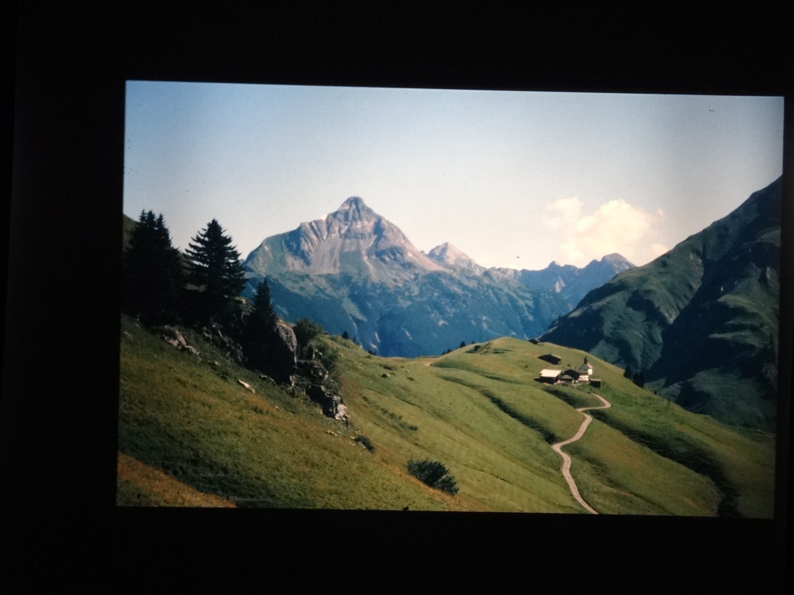 2002_warth210___von_Ordner___2001_2002dias_warth_blumen