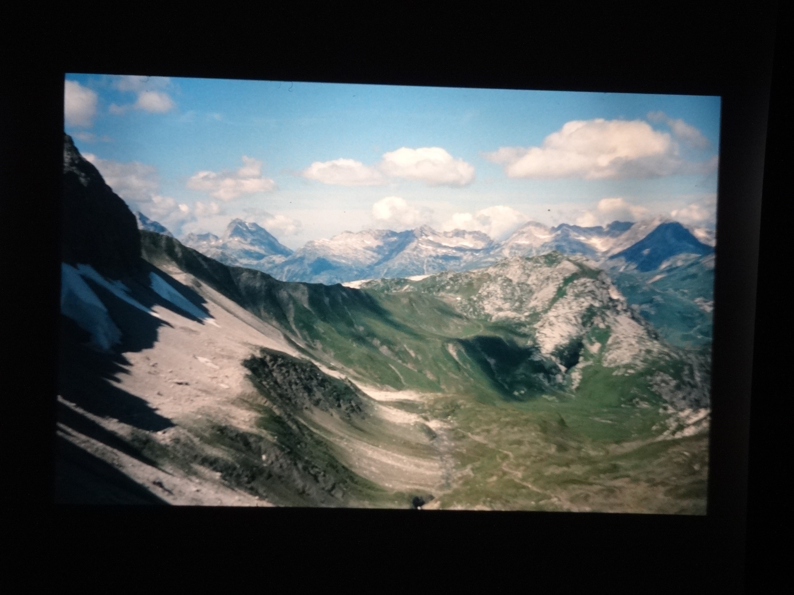 2002_warth250___von_Ordner___2001_2002dias_warth_blumen